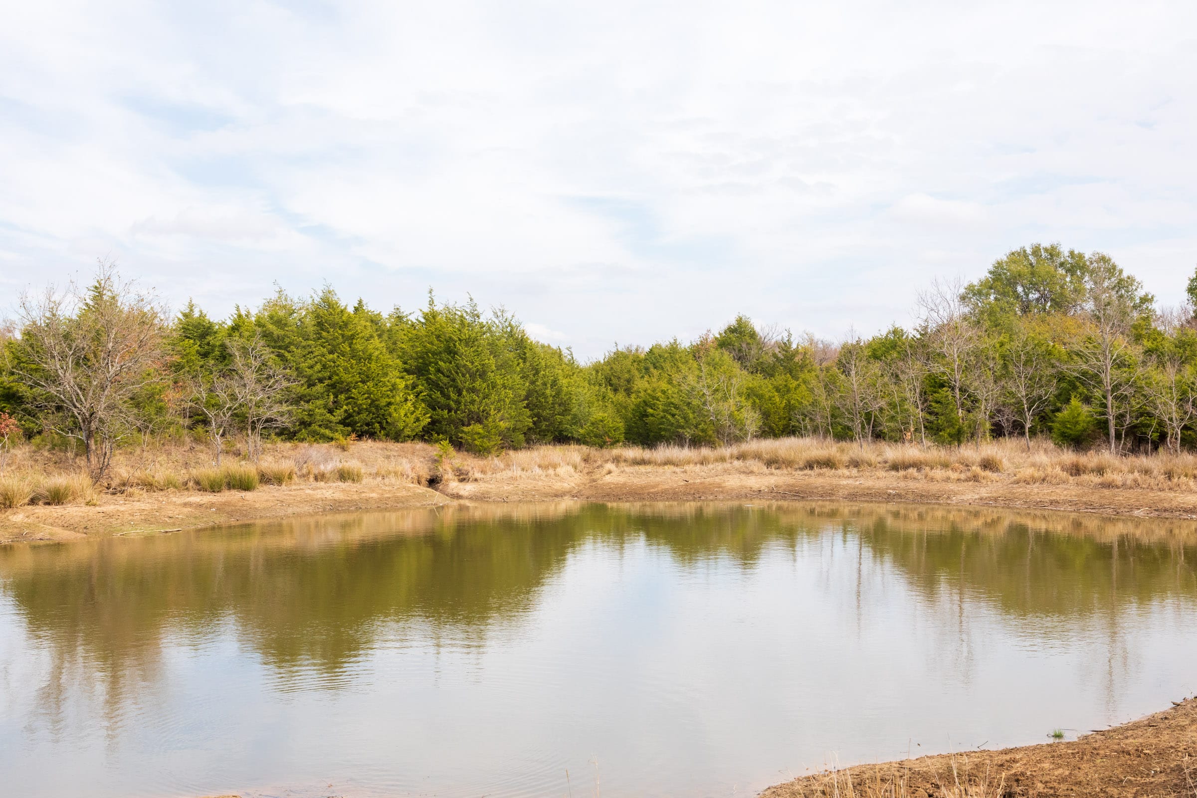 Crystal Springs Tract 12 photo 3