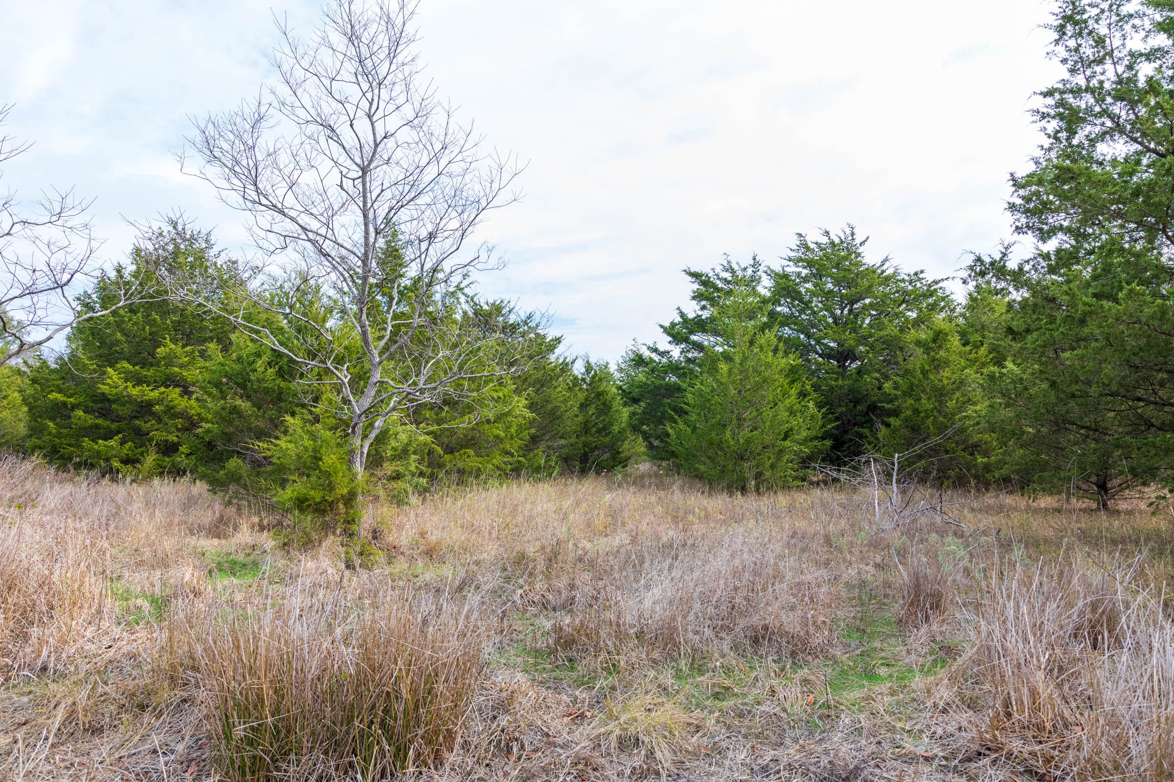 Crystal Springs Tract 12 photo 5