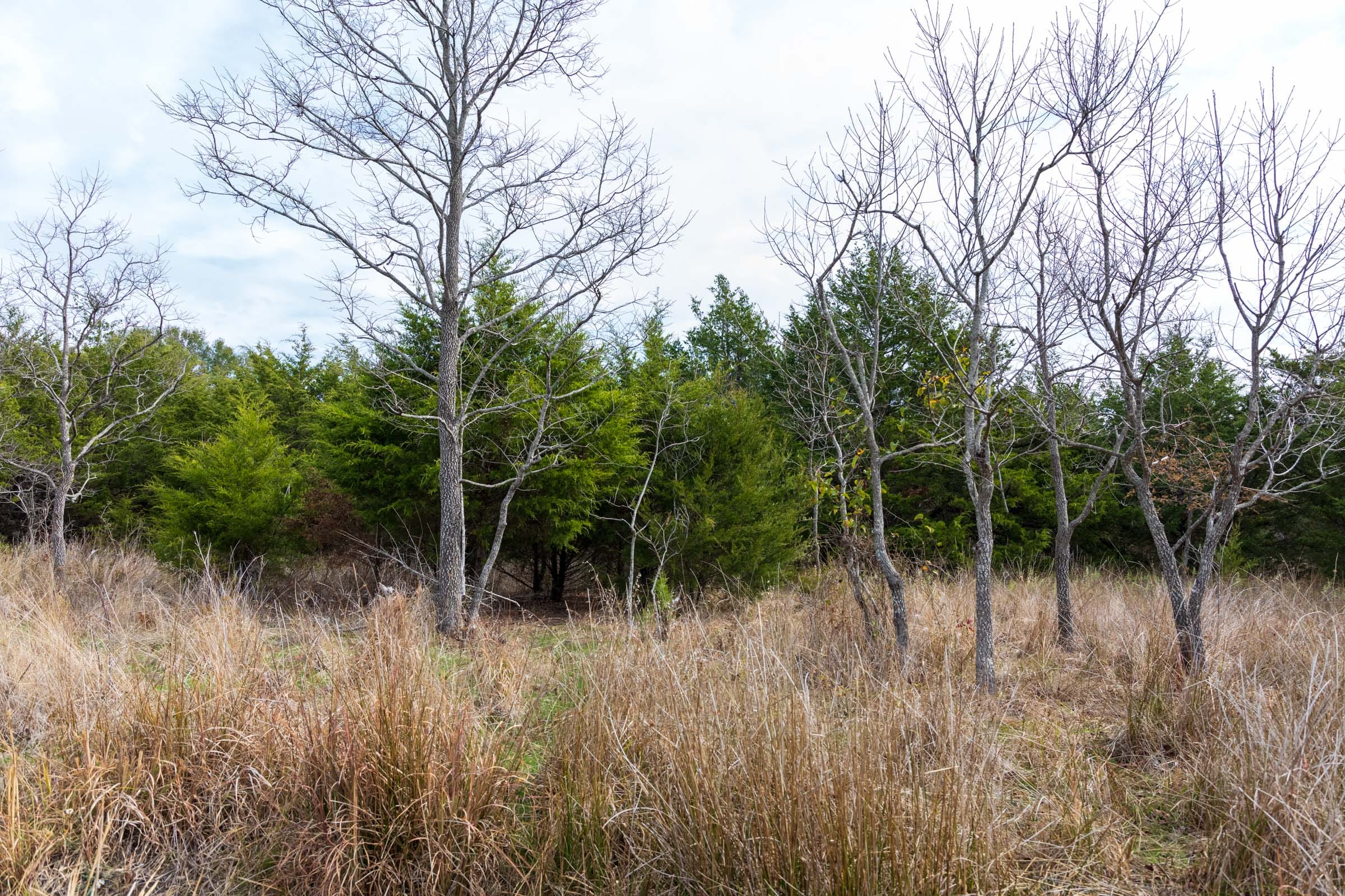 Crystal Springs Tract 12 photo 7