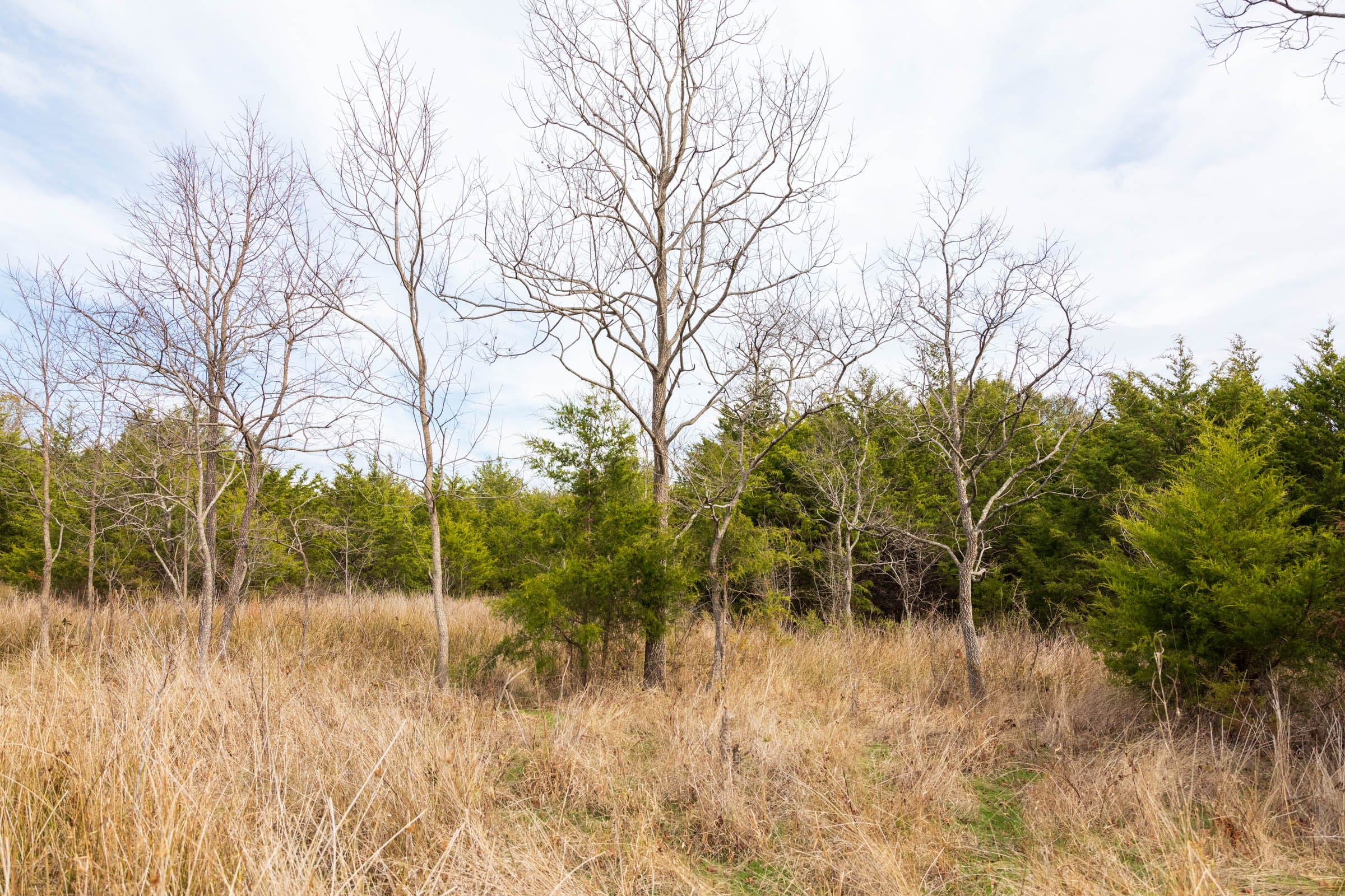 Crystal Springs Tract 12 photo 8