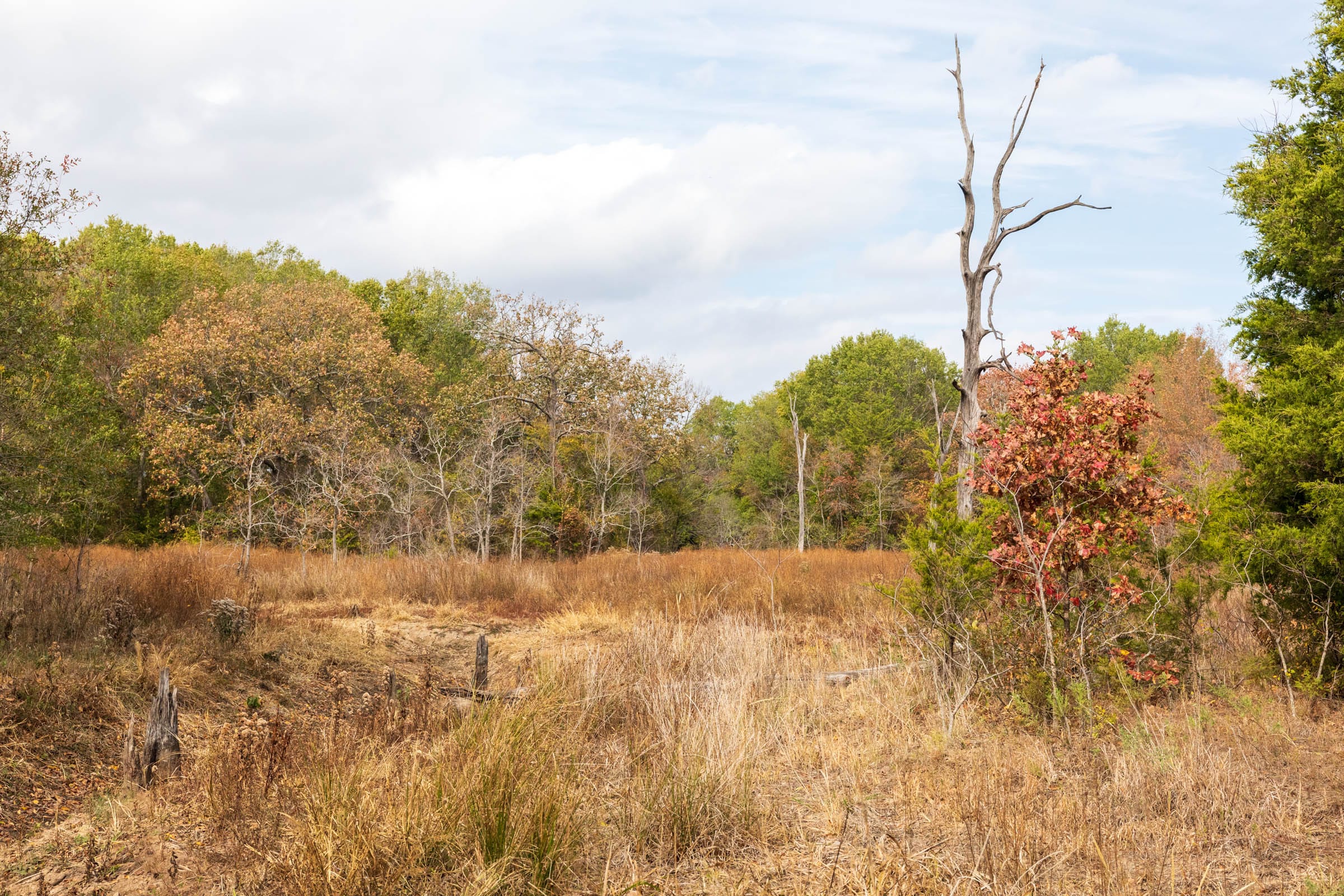 Crystal Springs Tract 12 photo 10