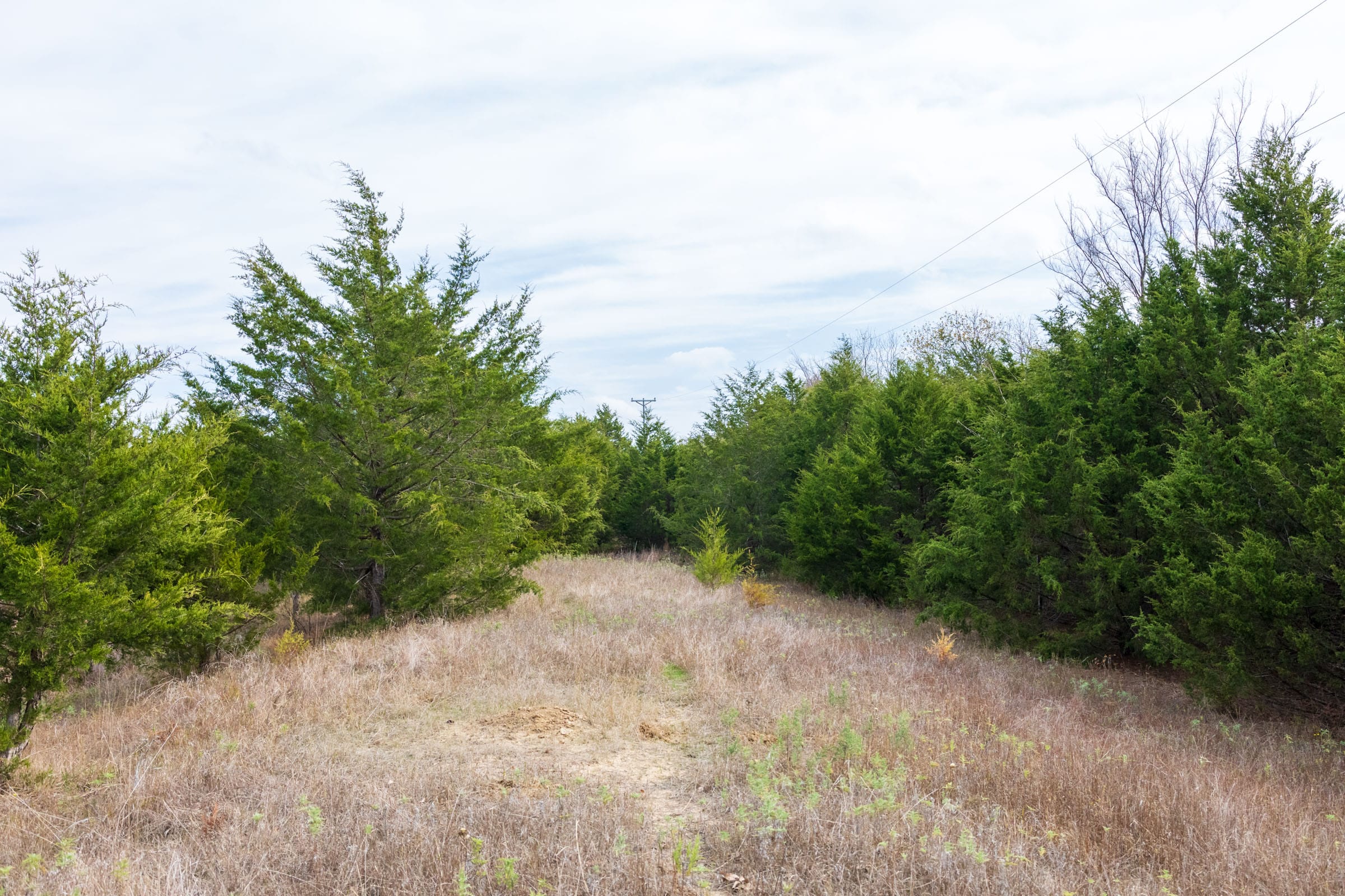 Crystal Springs Tract 12 photo 12