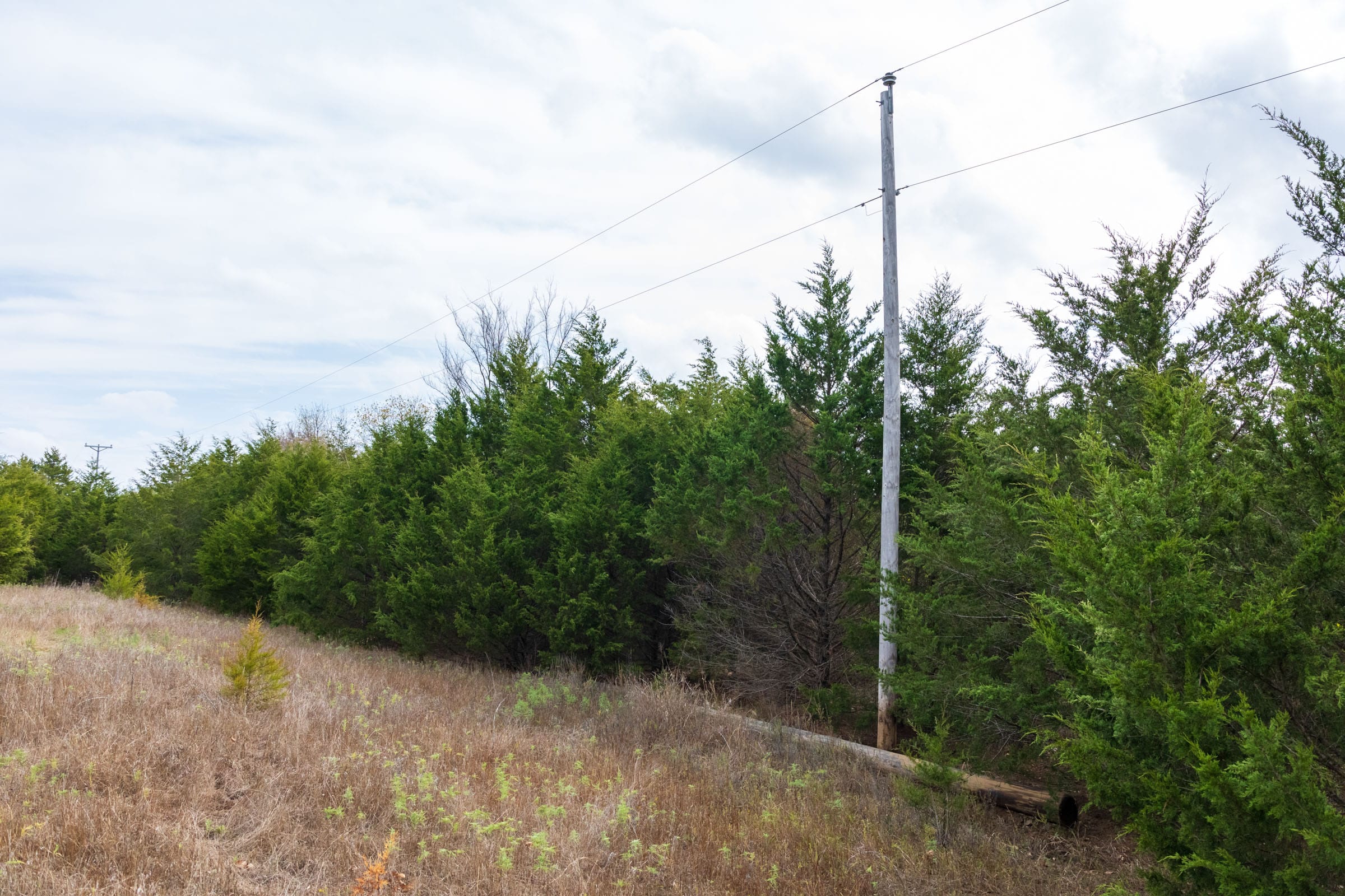 Crystal Springs Tract 12 photo 13