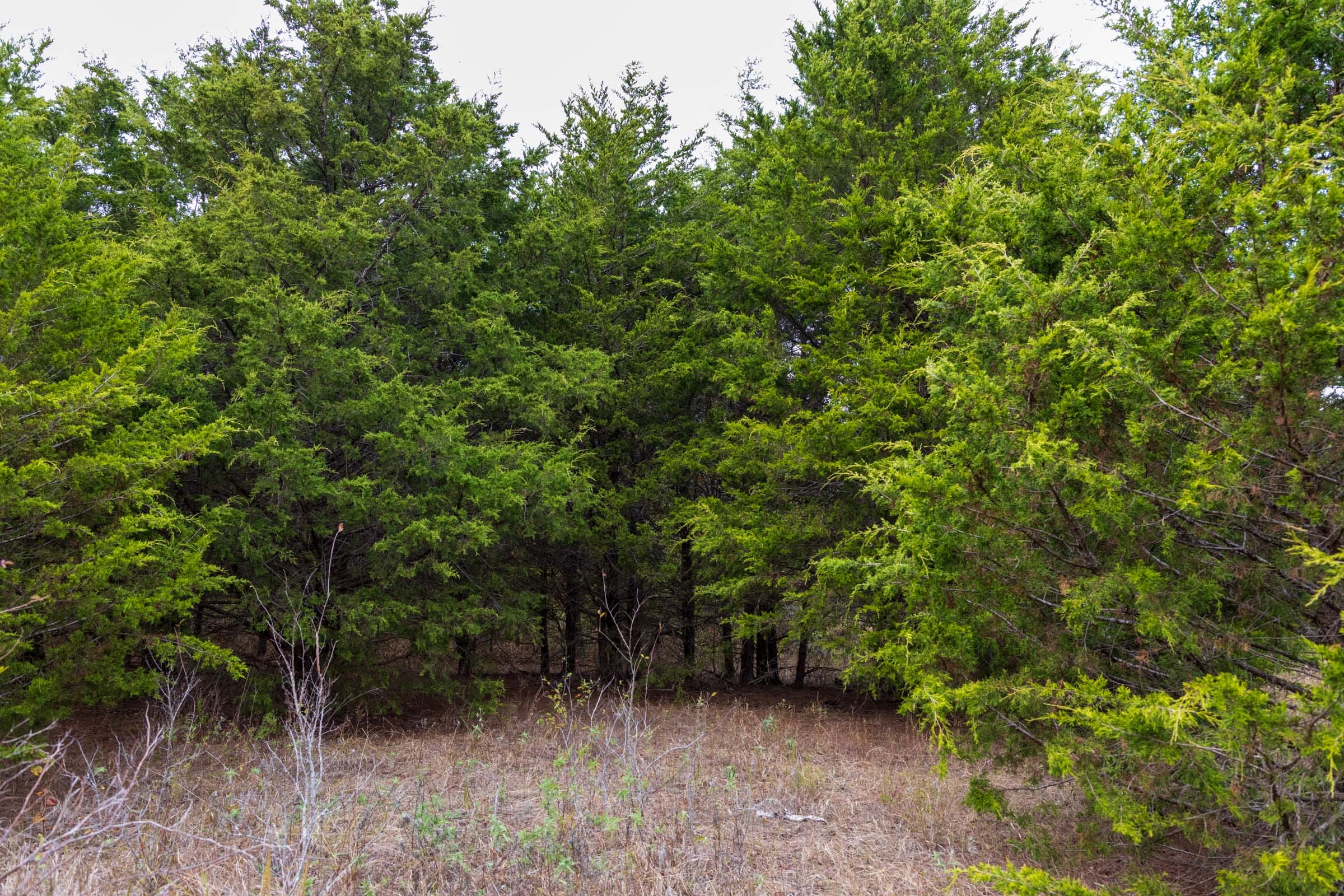 Crystal Springs Tract 12 photo 15