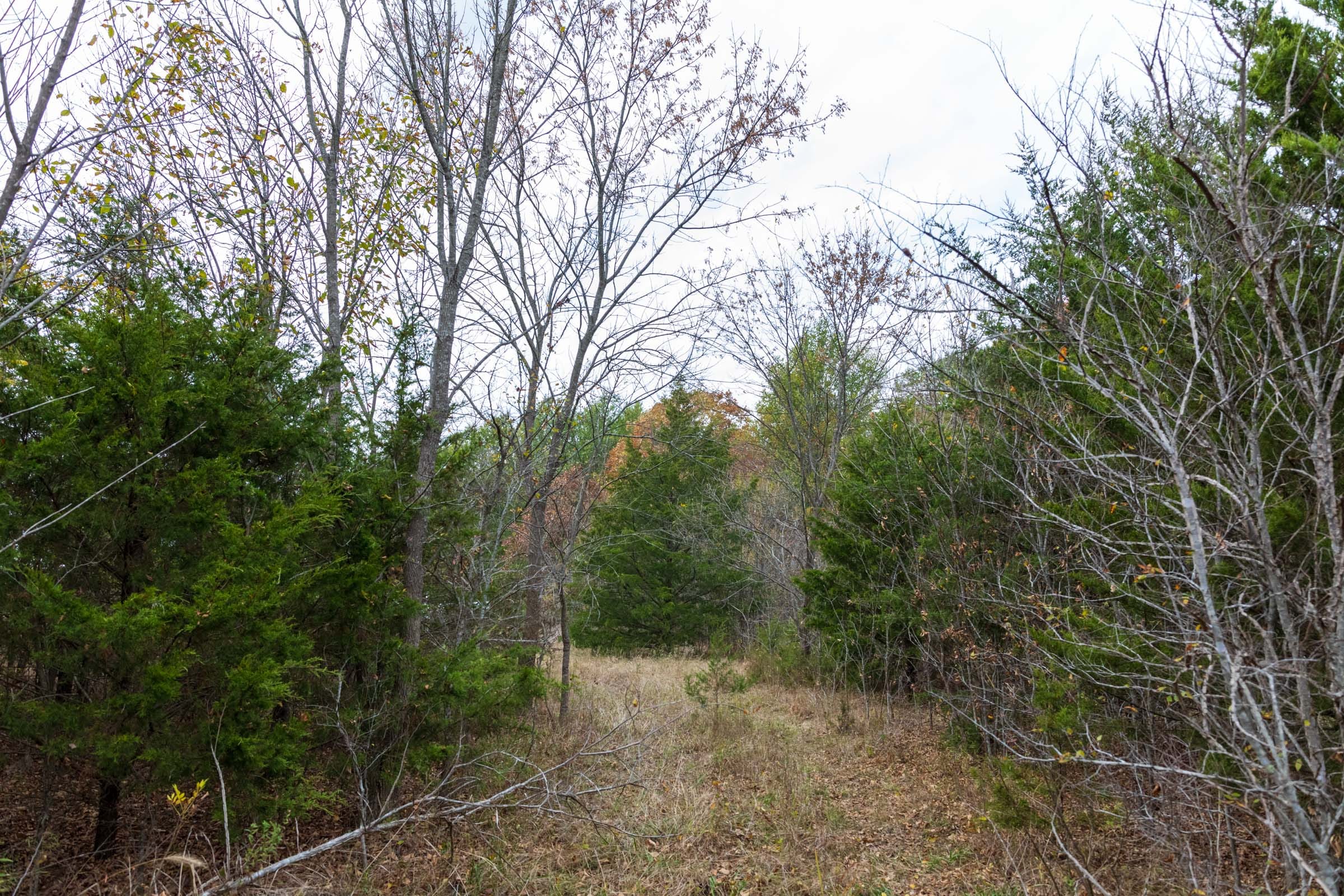 Crystal Springs Tract 12 photo 17