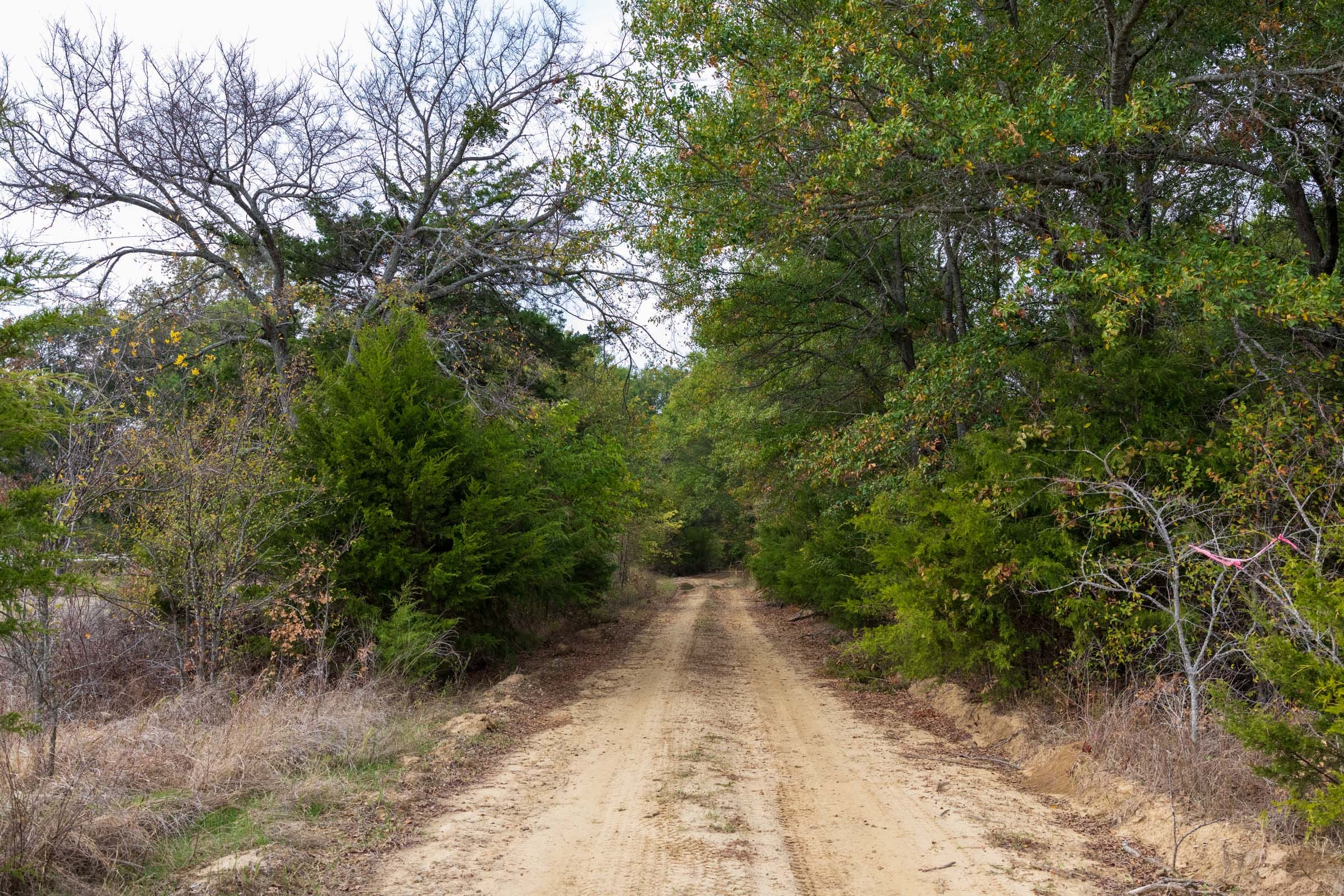 Crystal Springs Tract 12 photo 18