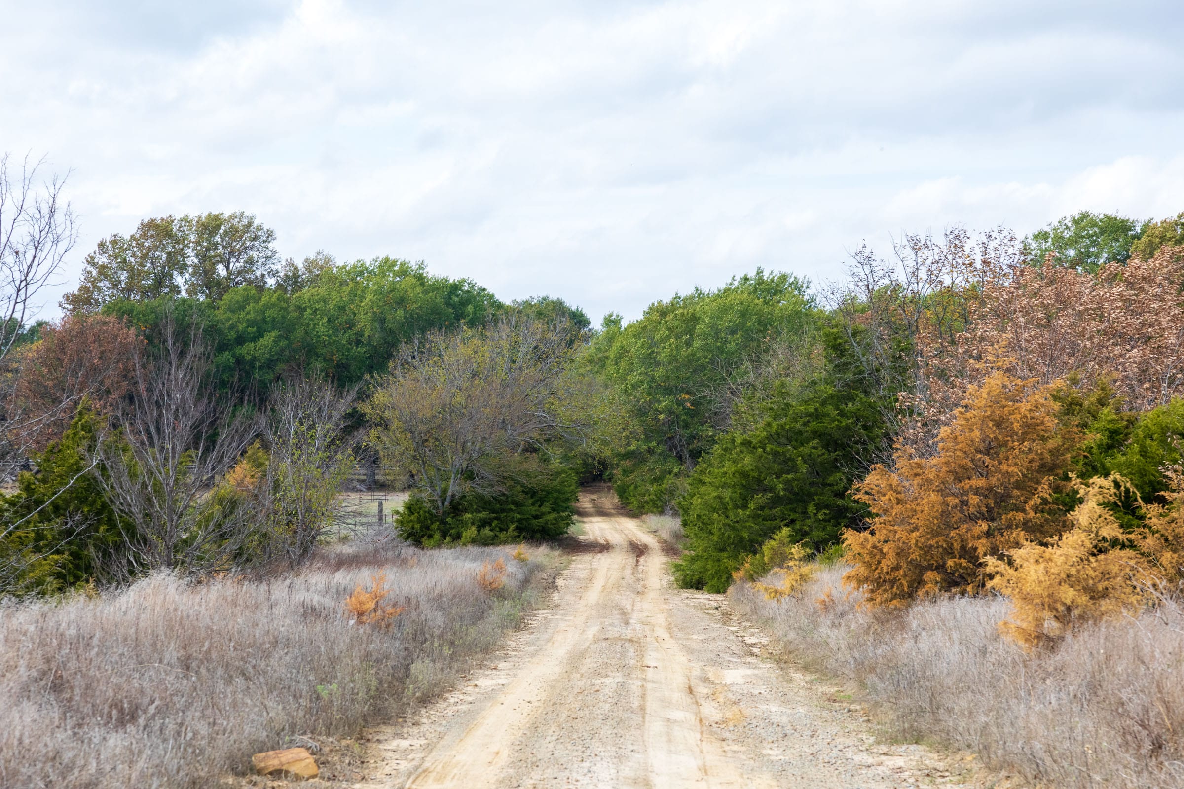 Crystal Springs Tract 12 photo 2