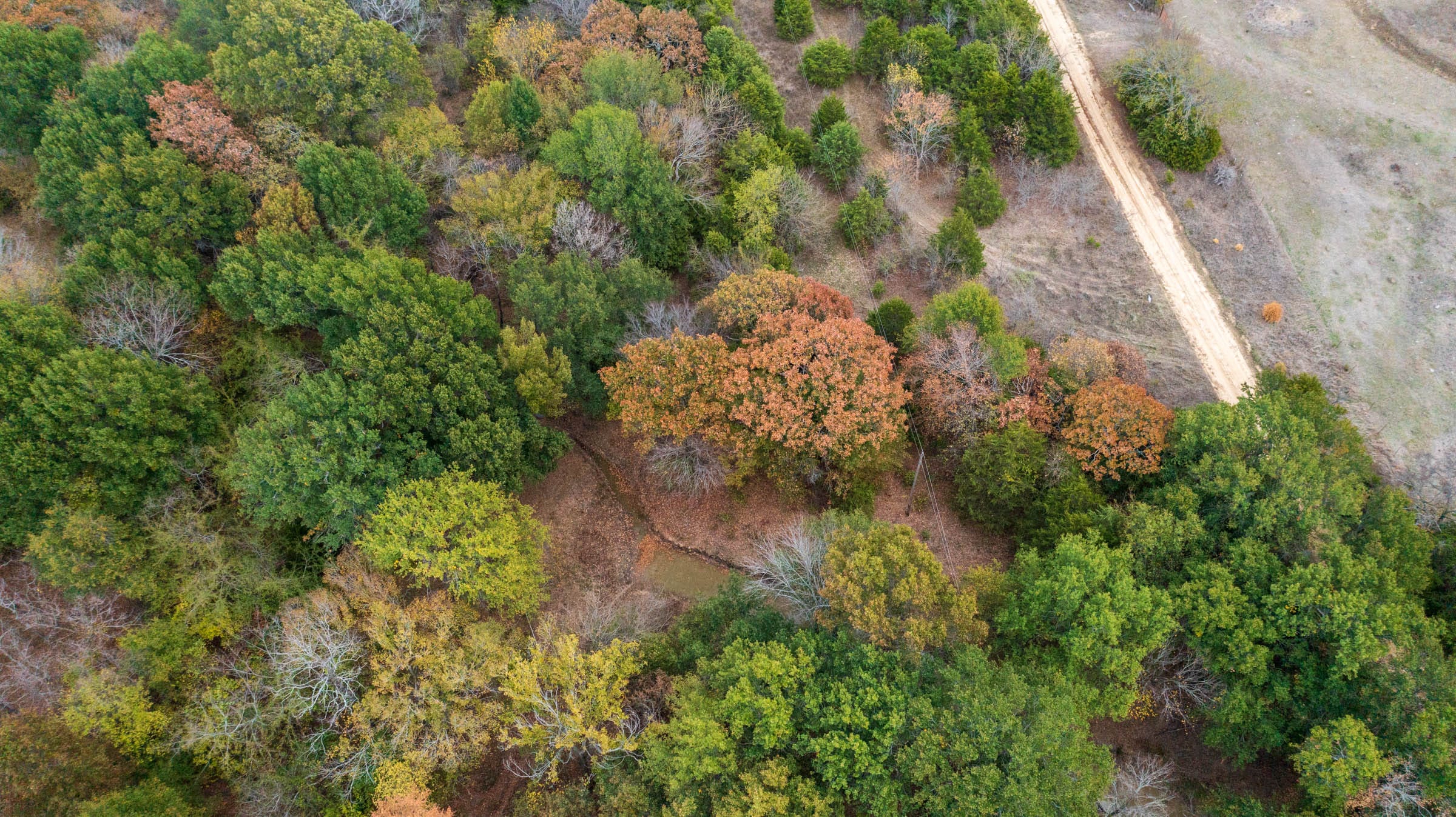 Crystal Springs Tract 12 photo 22