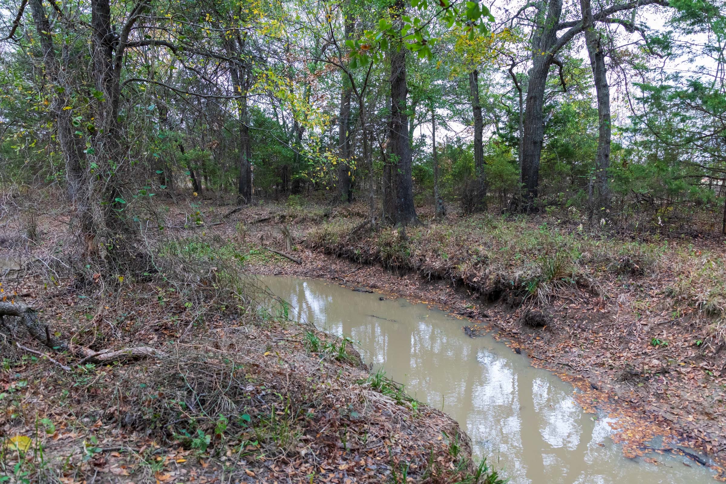 Crystal Springs Tract 12 photo 24