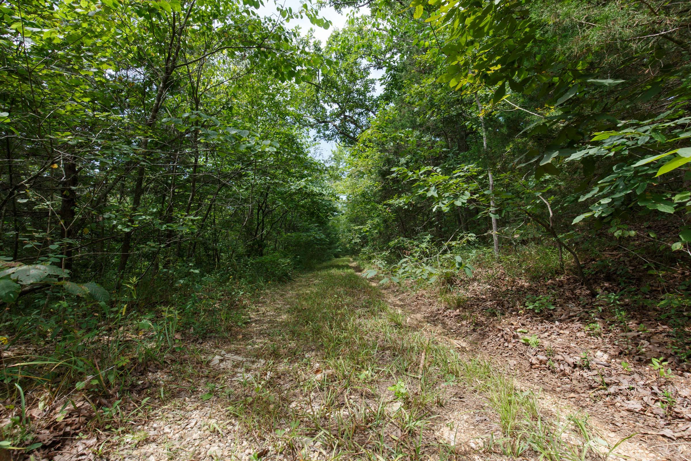 Spring Lake Plat 5 Tract 298 photo 2