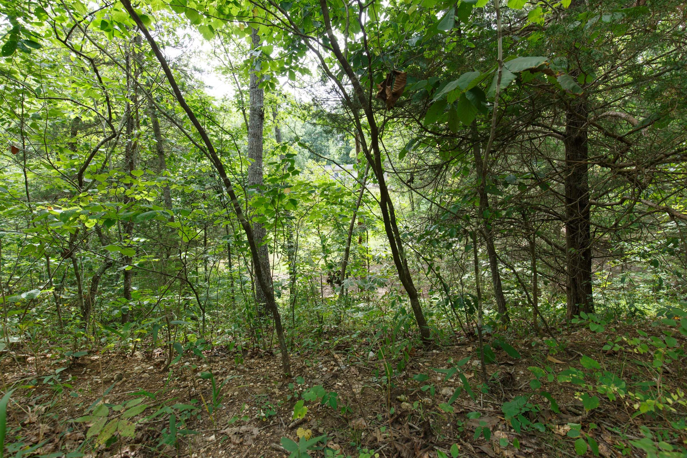 Spring Lake Plat 5 Tract 298 photo 1