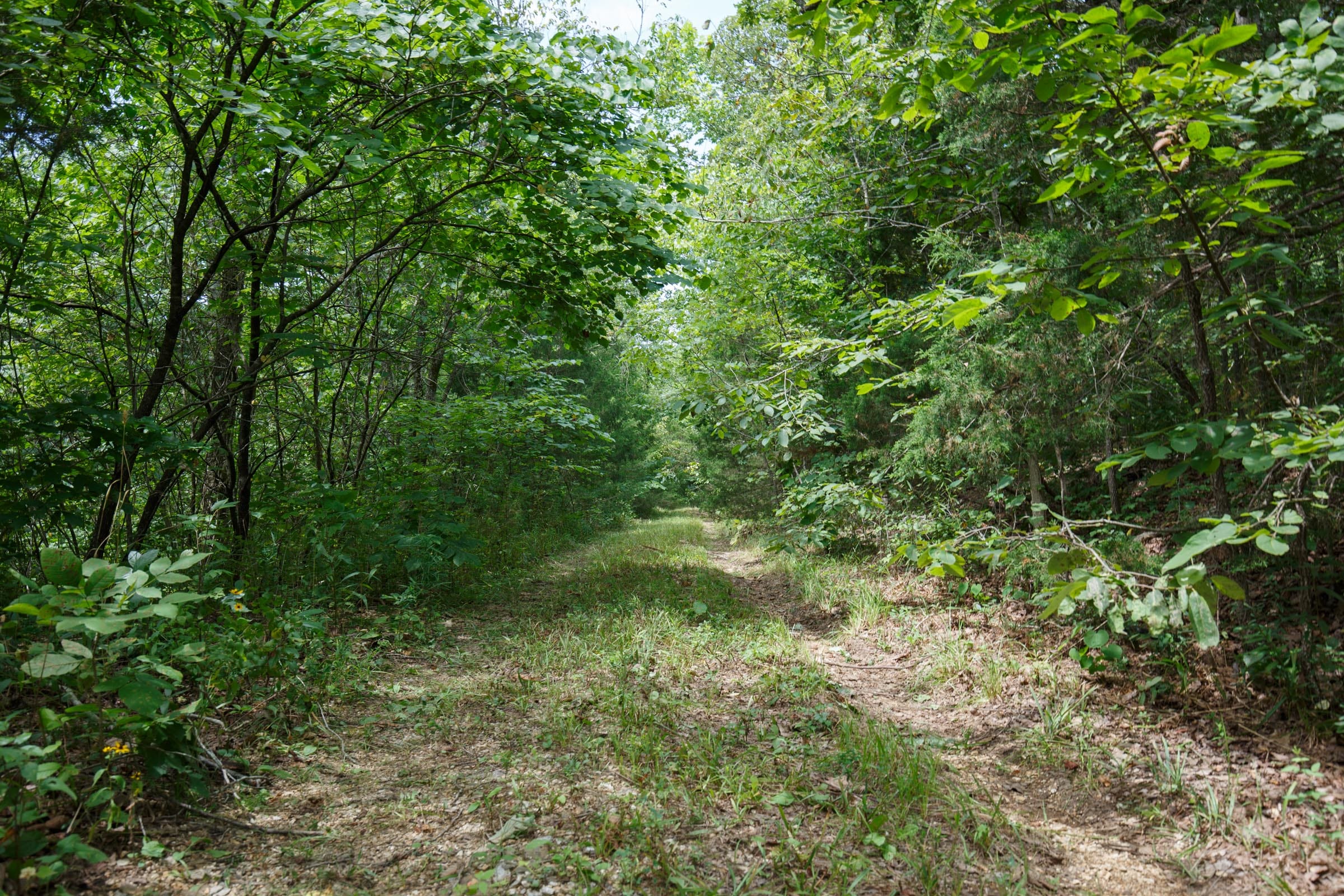 Spring Lake Plat 5 Tract 298 photo 5