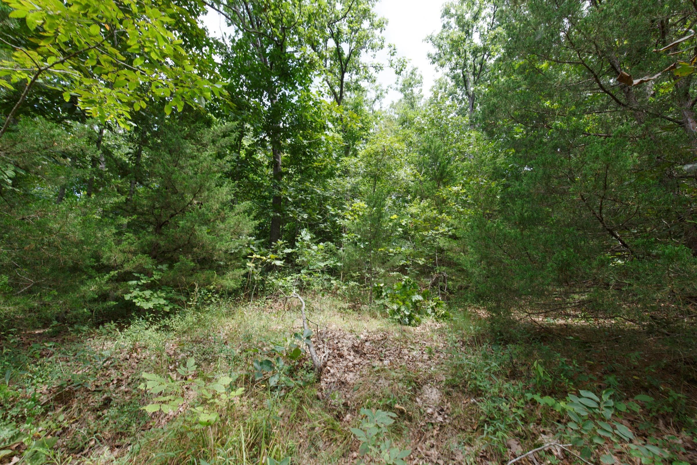 Spring Lake Plat 5 Tract 298 photo 7