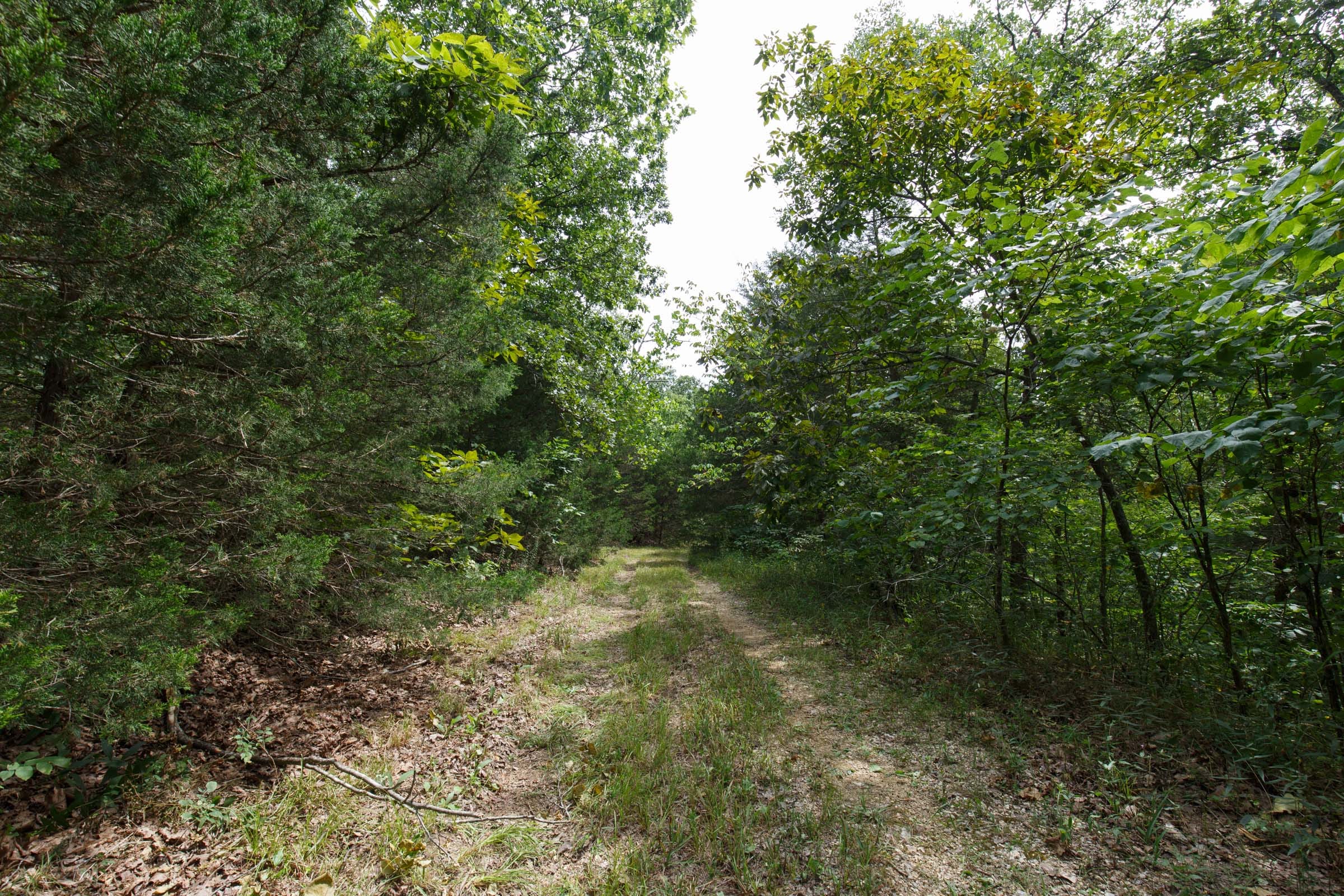 Spring Lake Plat 5 Tract 298 photo 8