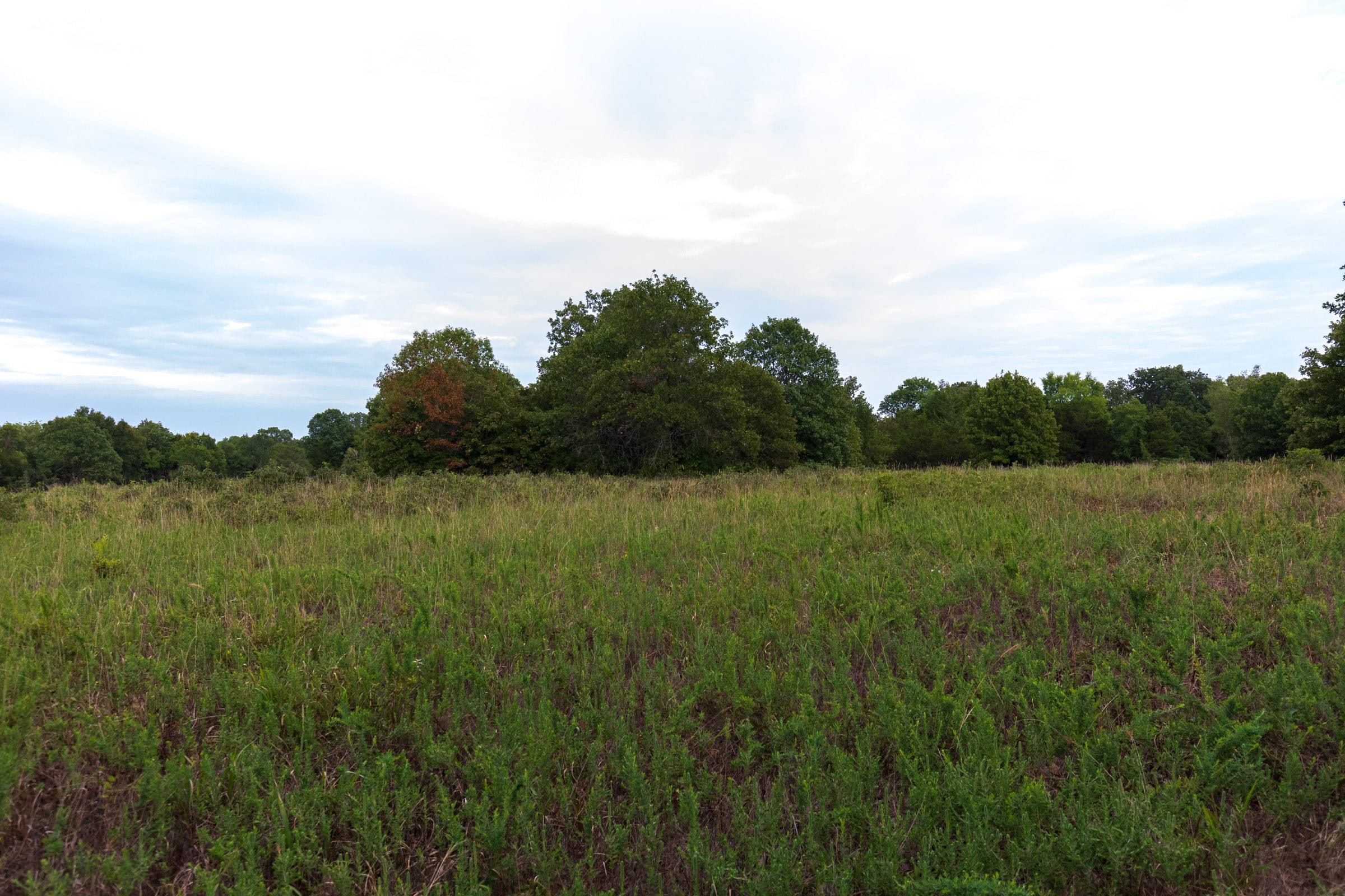 Heritage Bend Tract 10 photo 3