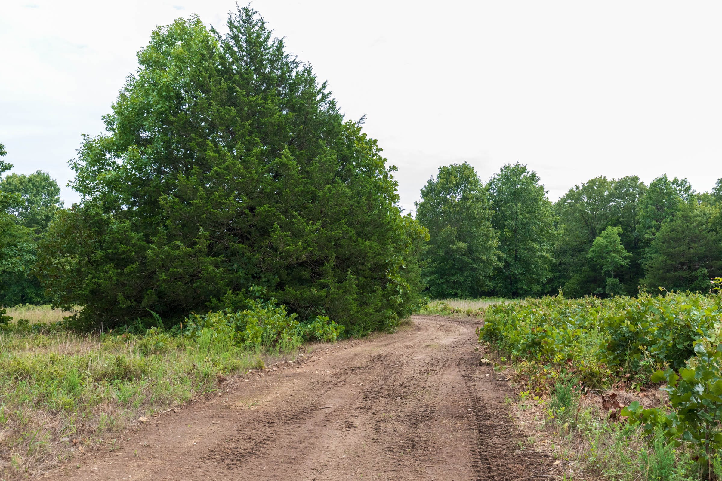 Heritage Bend Tract 10 photo 1