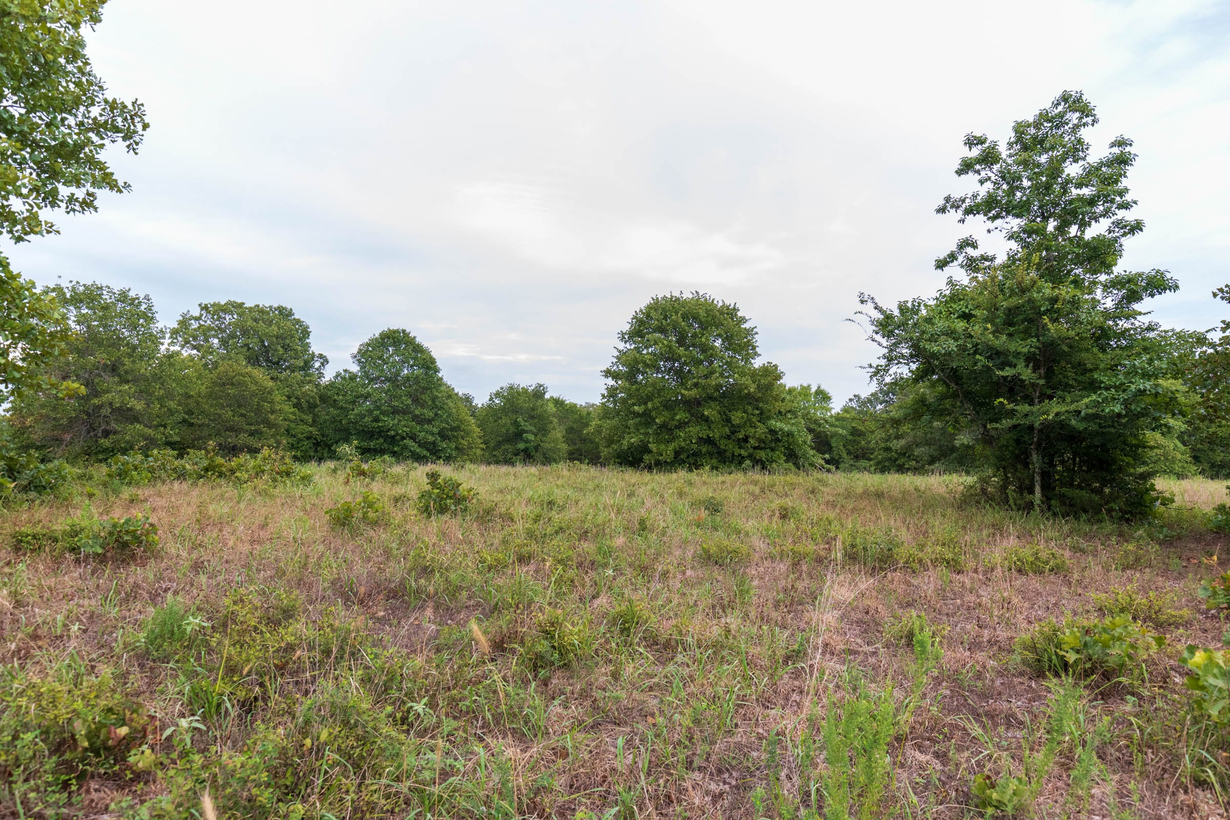 Heritage Bend Tract 10 photo 4