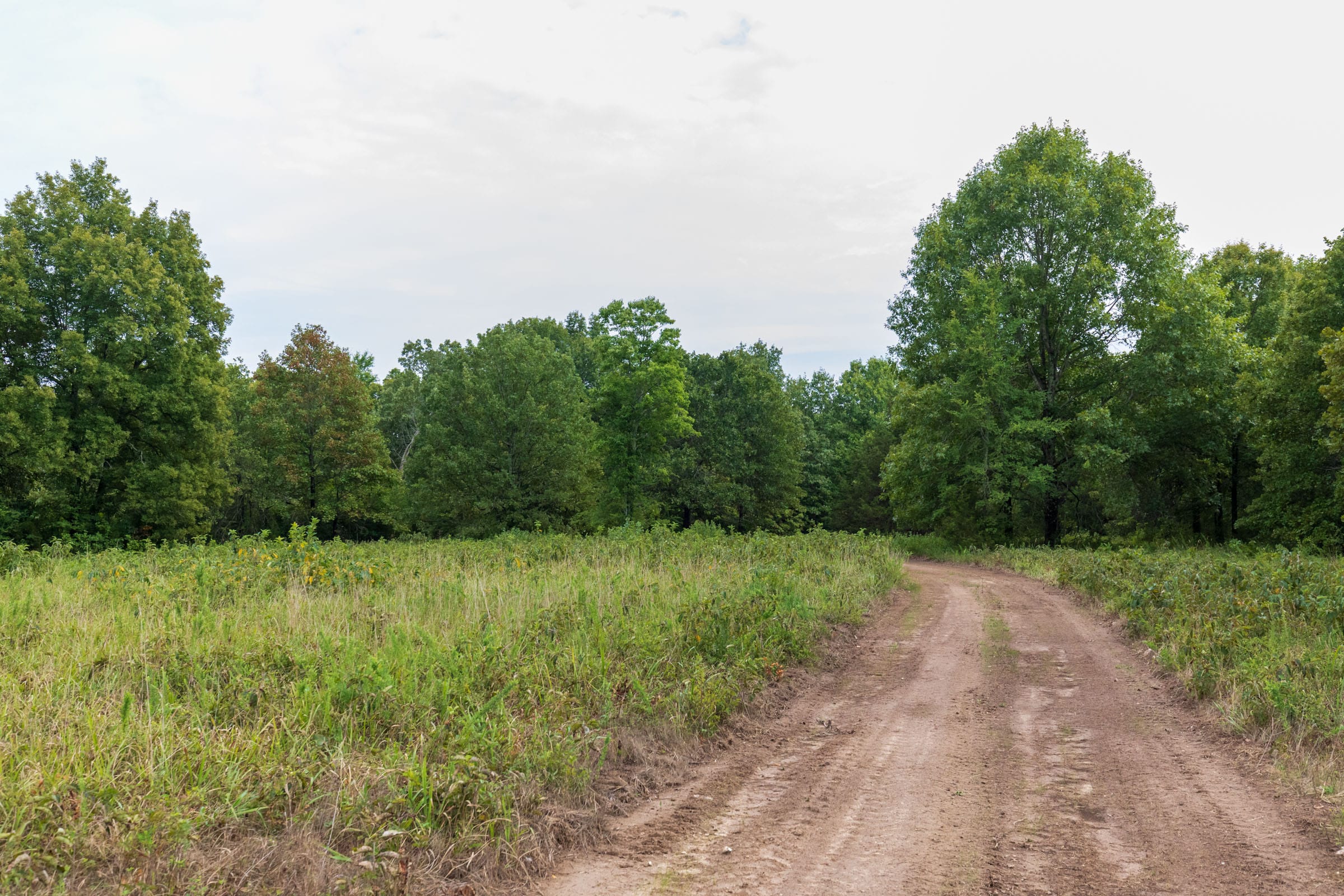 Heritage Bend Tract 10 photo 5