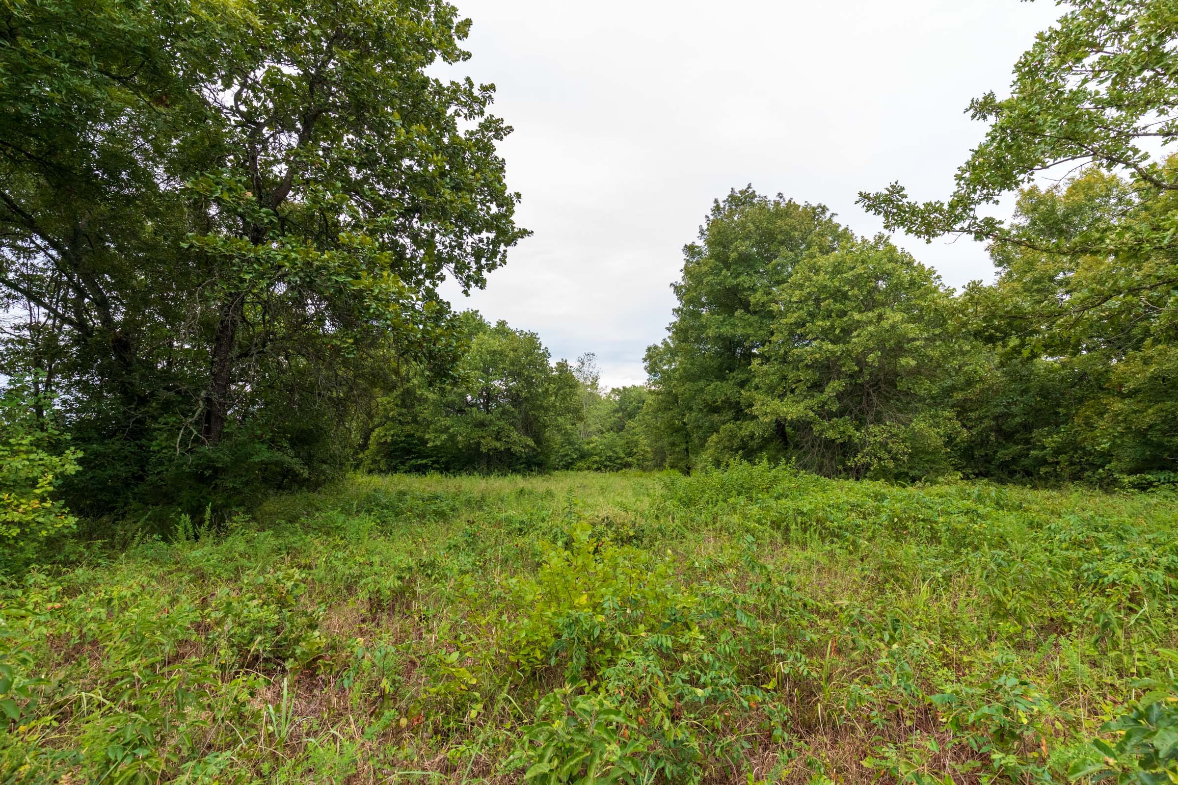 Heritage Bend Tract 10 photo 6