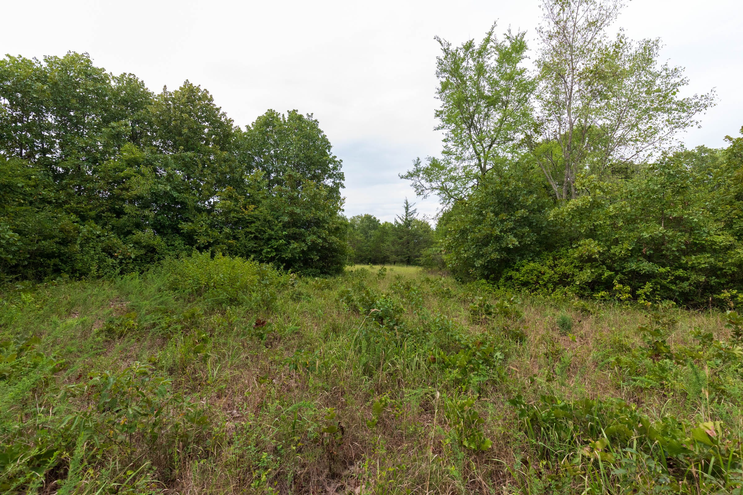 Heritage Bend Tract 10 photo 7