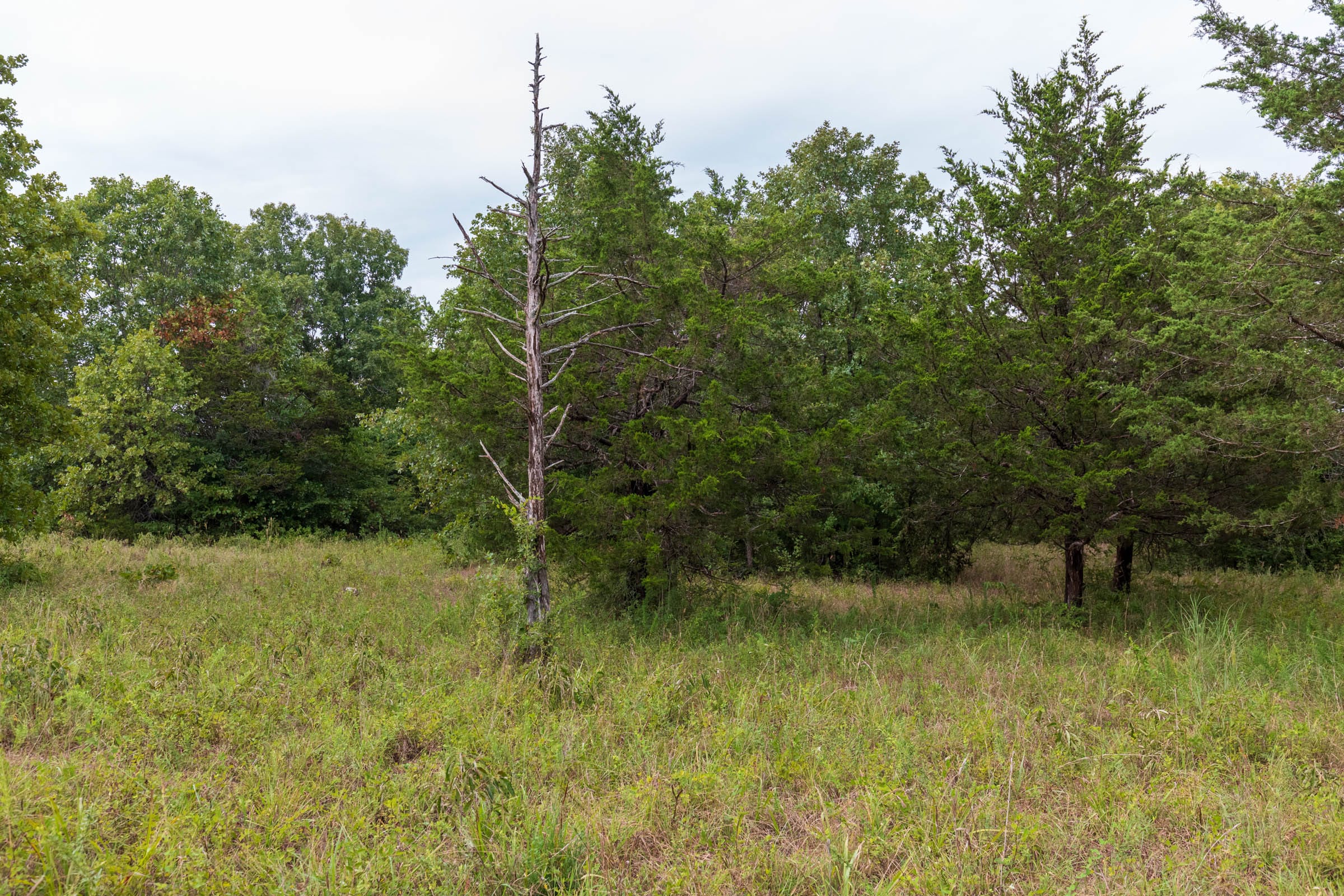 Heritage Bend Tract 10 photo 8