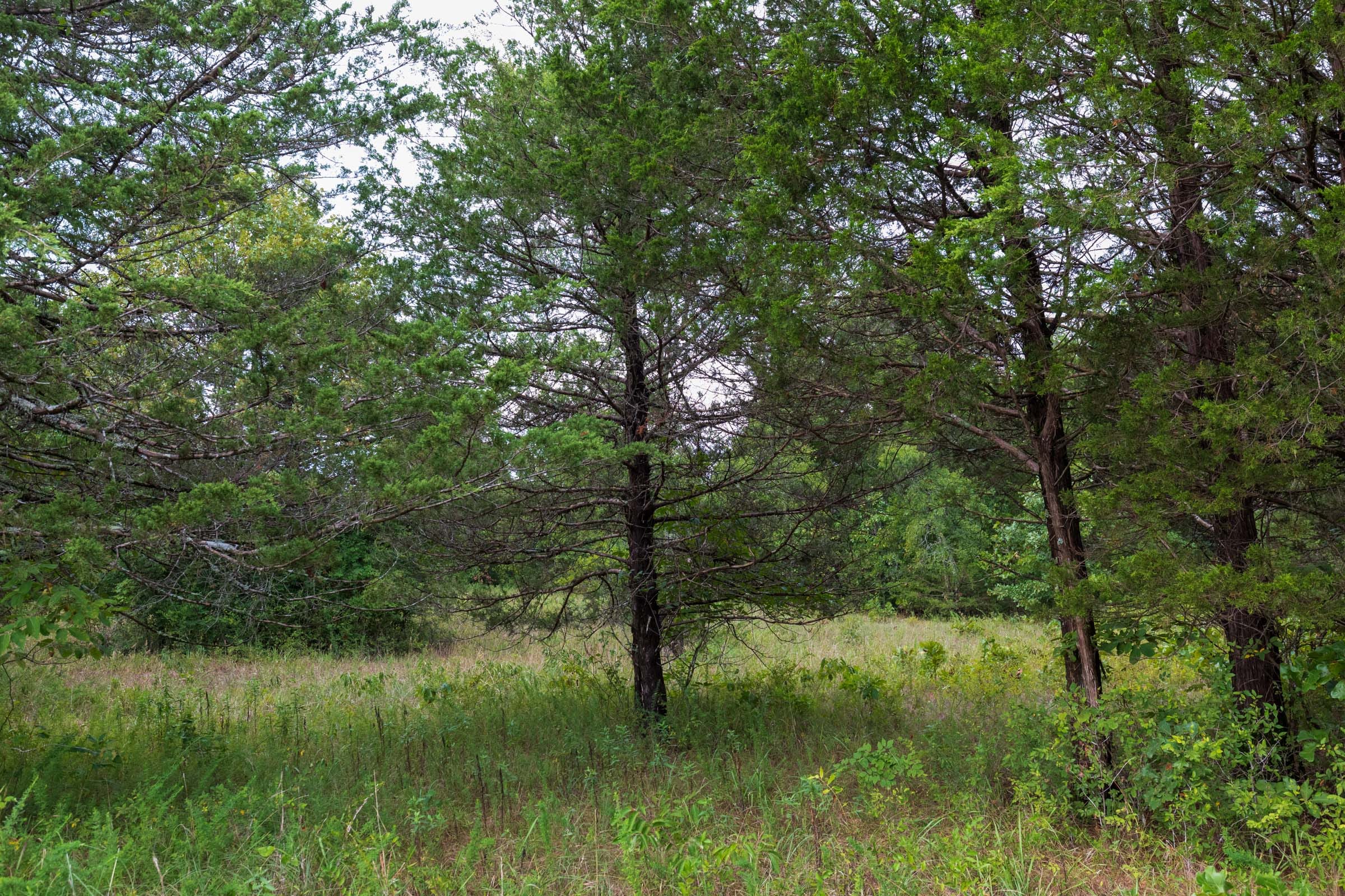 Heritage Bend Tract 10 photo 10