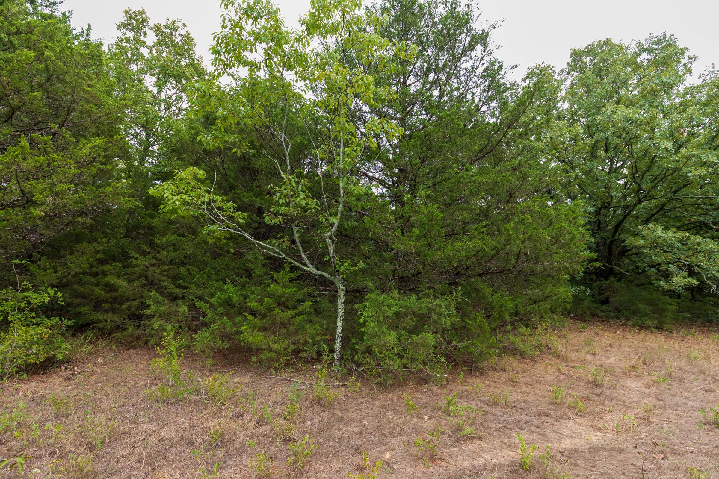 Heritage Bend Tract 10 photo 12