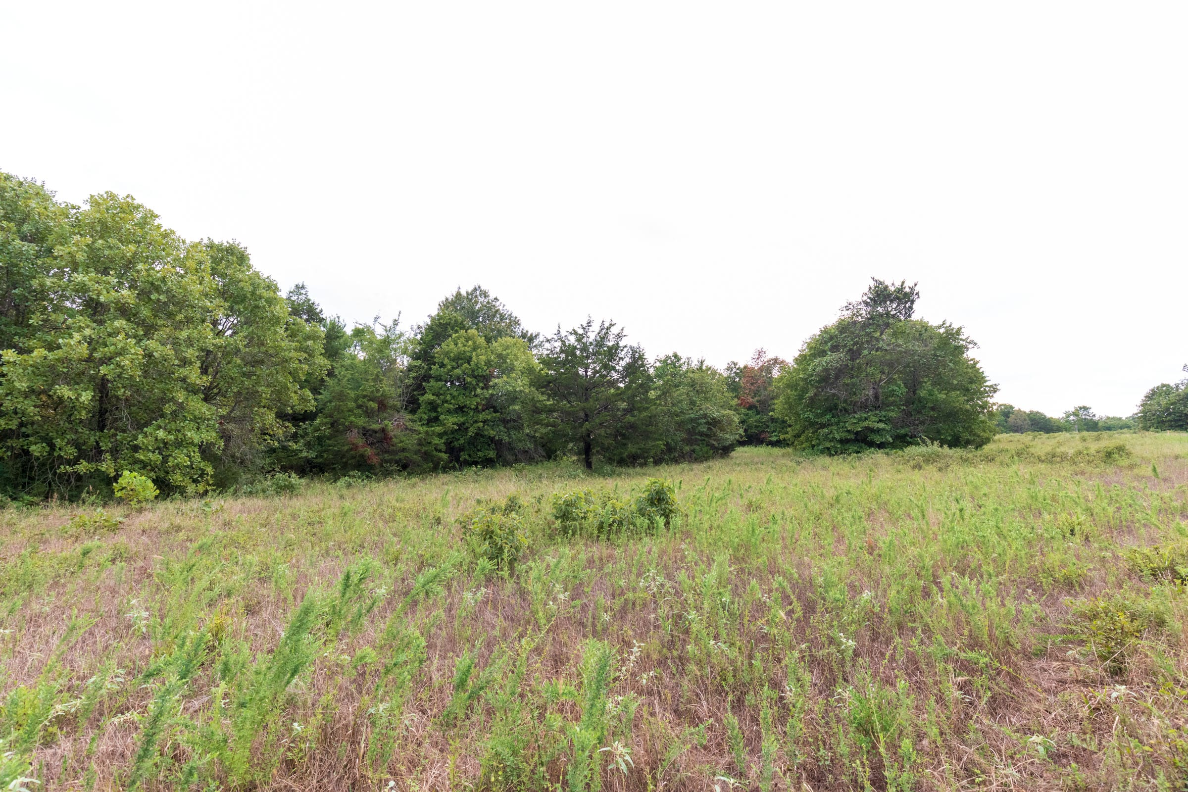 Heritage Bend Tract 10 photo 13