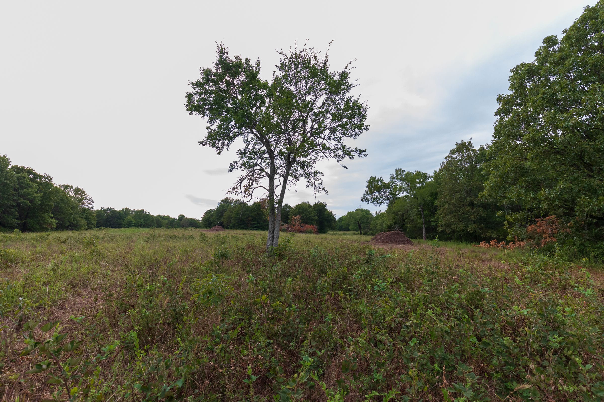 Heritage Bend Tract 10 photo 14