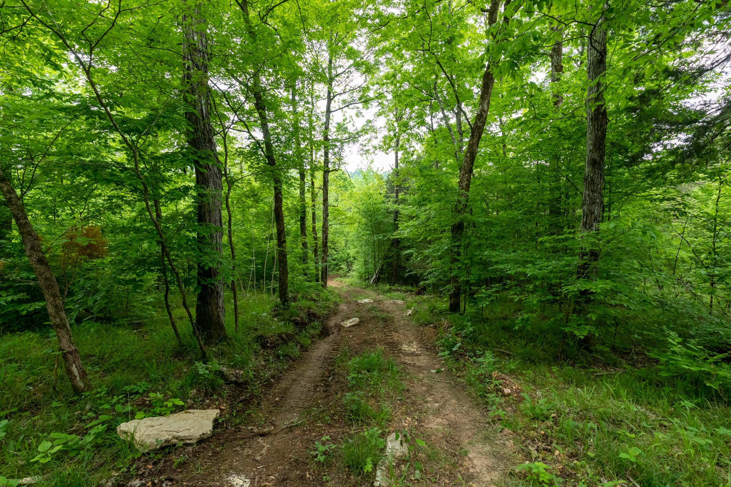 Cedar Creek Tract 31 photo 1