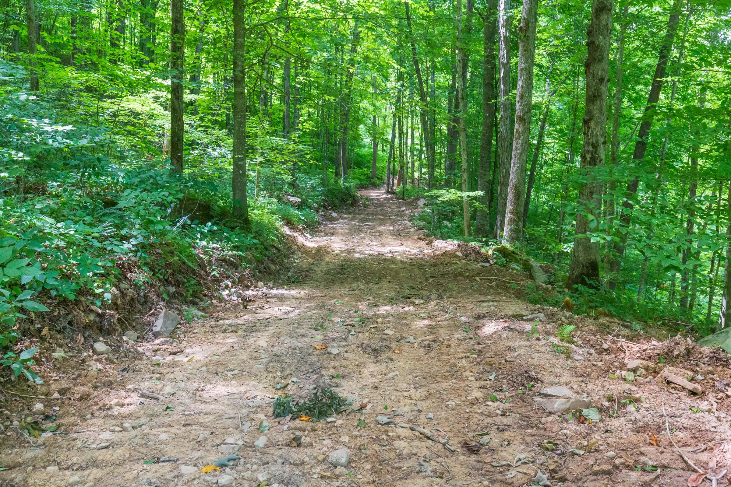 River’s Edge Tract 15 photo 2