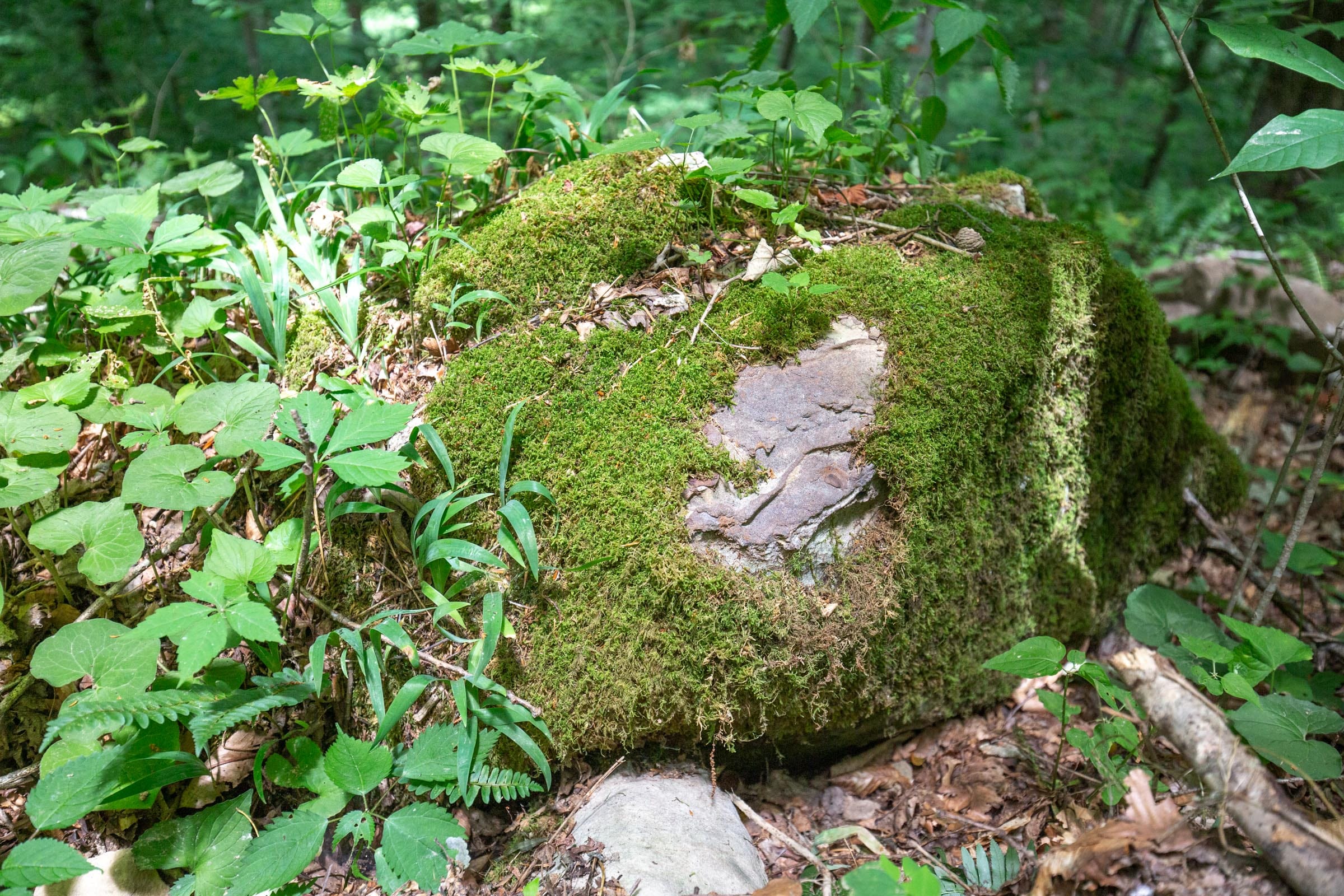 River’s Edge Tract 15 photo 4