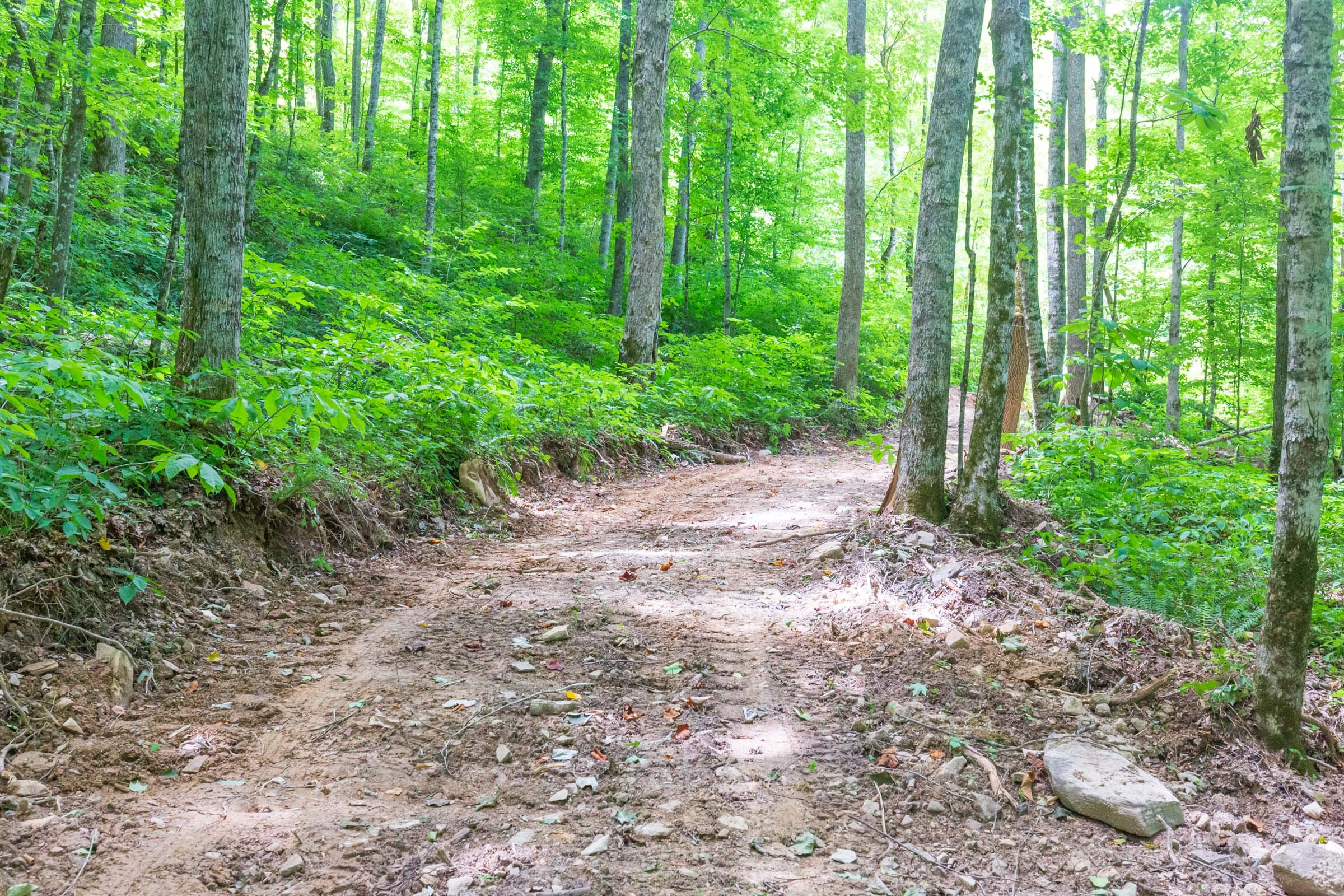 River’s Edge Tract 15 photo 9