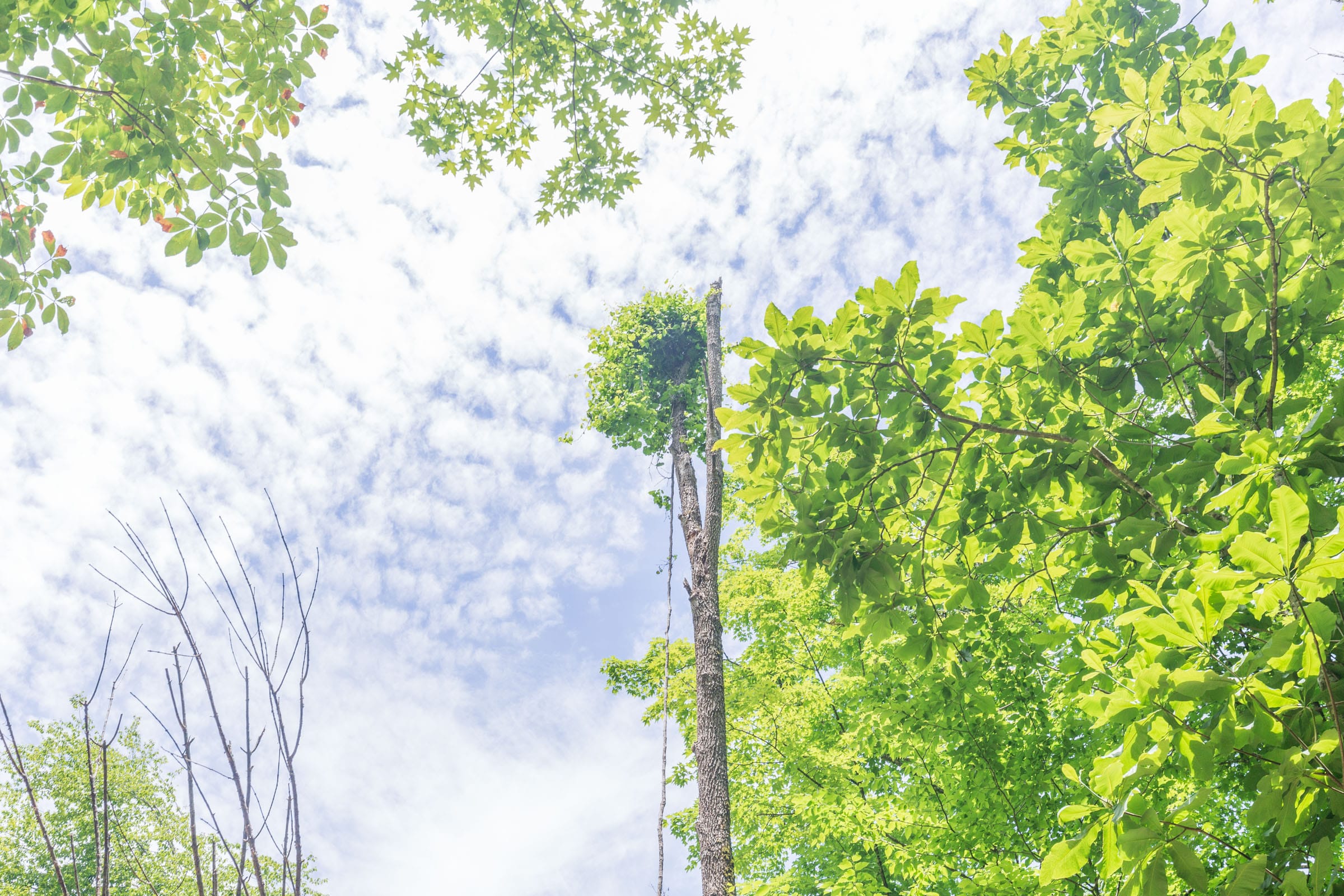 River’s Edge Tract 15 photo 11
