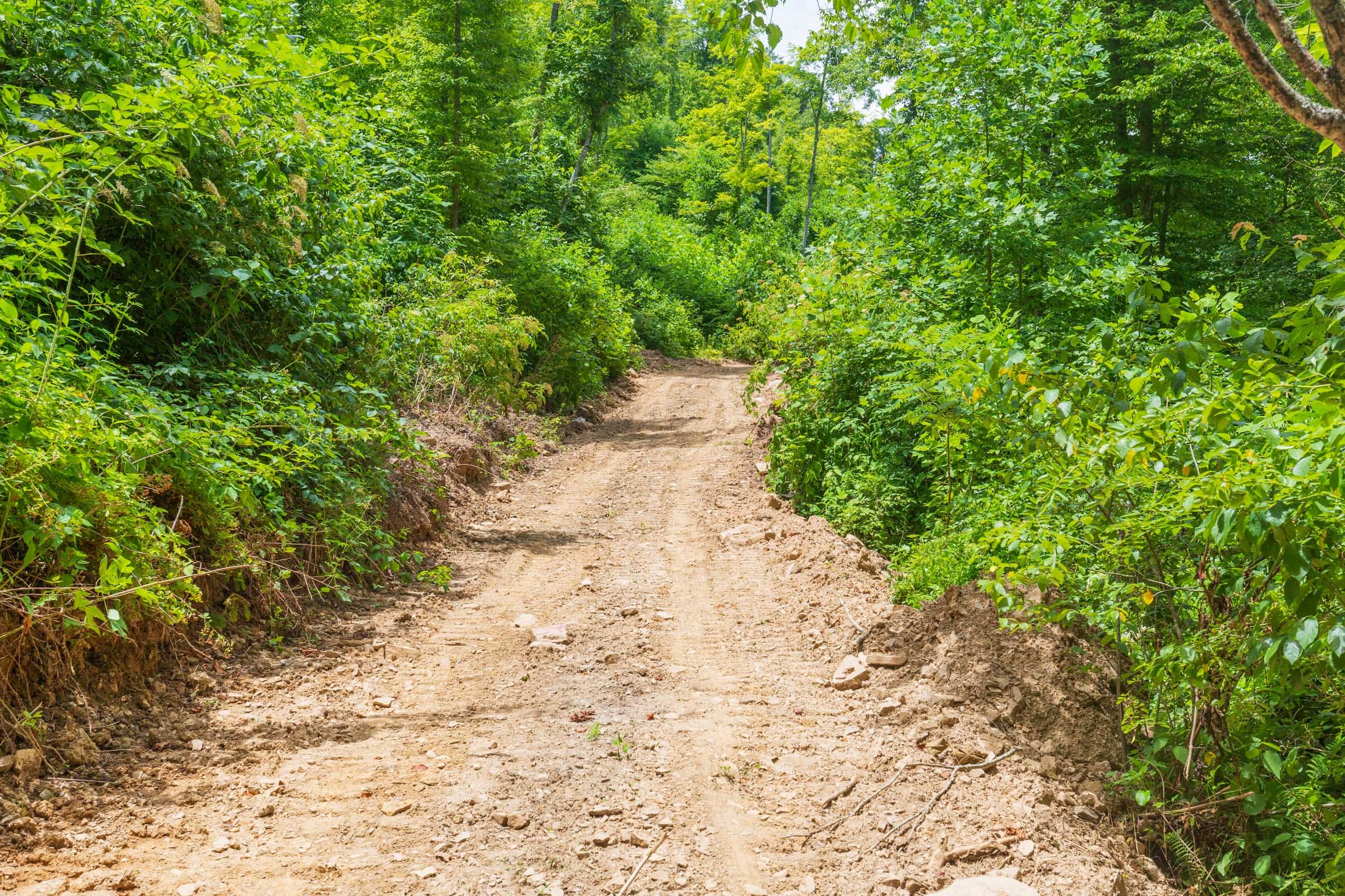 River’s Edge Tract 15 photo 13
