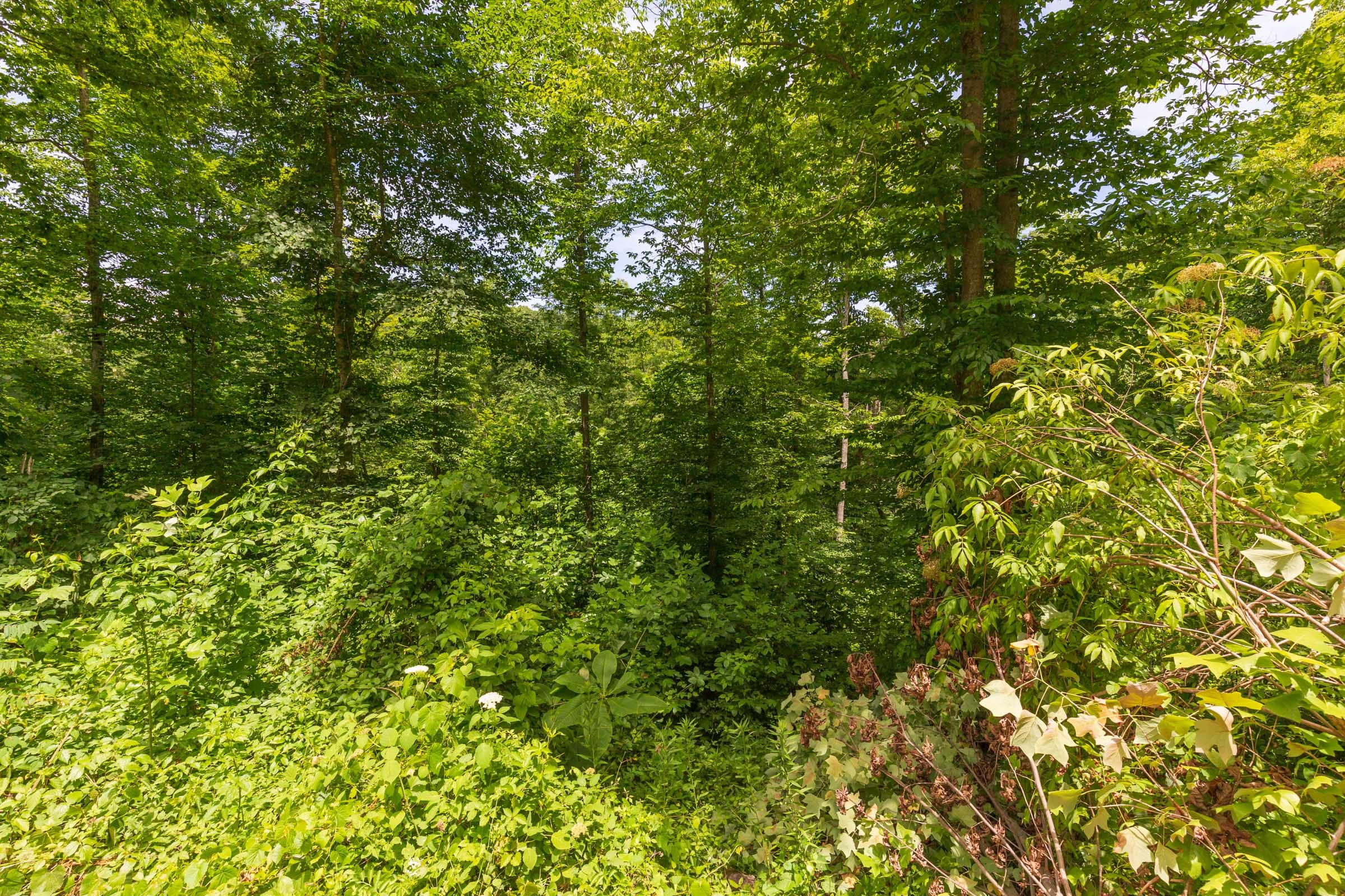 River’s Edge Tract 15 photo 14