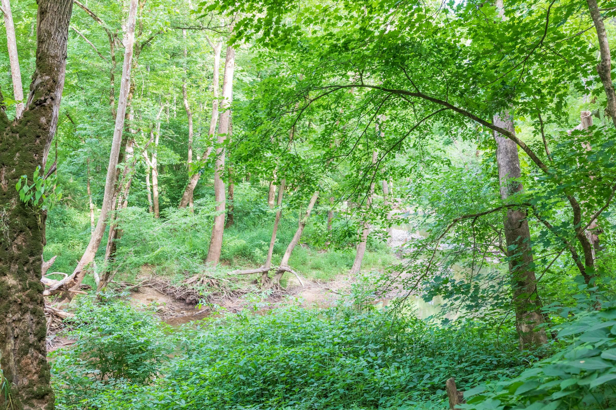 River’s Edge Tract 15 photo 16