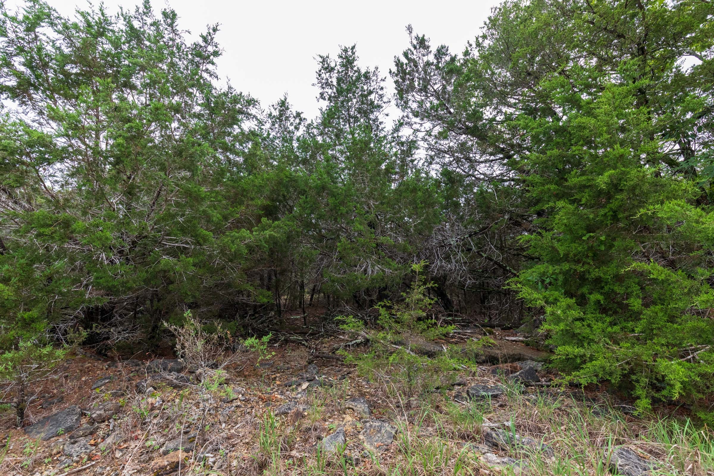 Heritage Bend Tract 4 photo 1