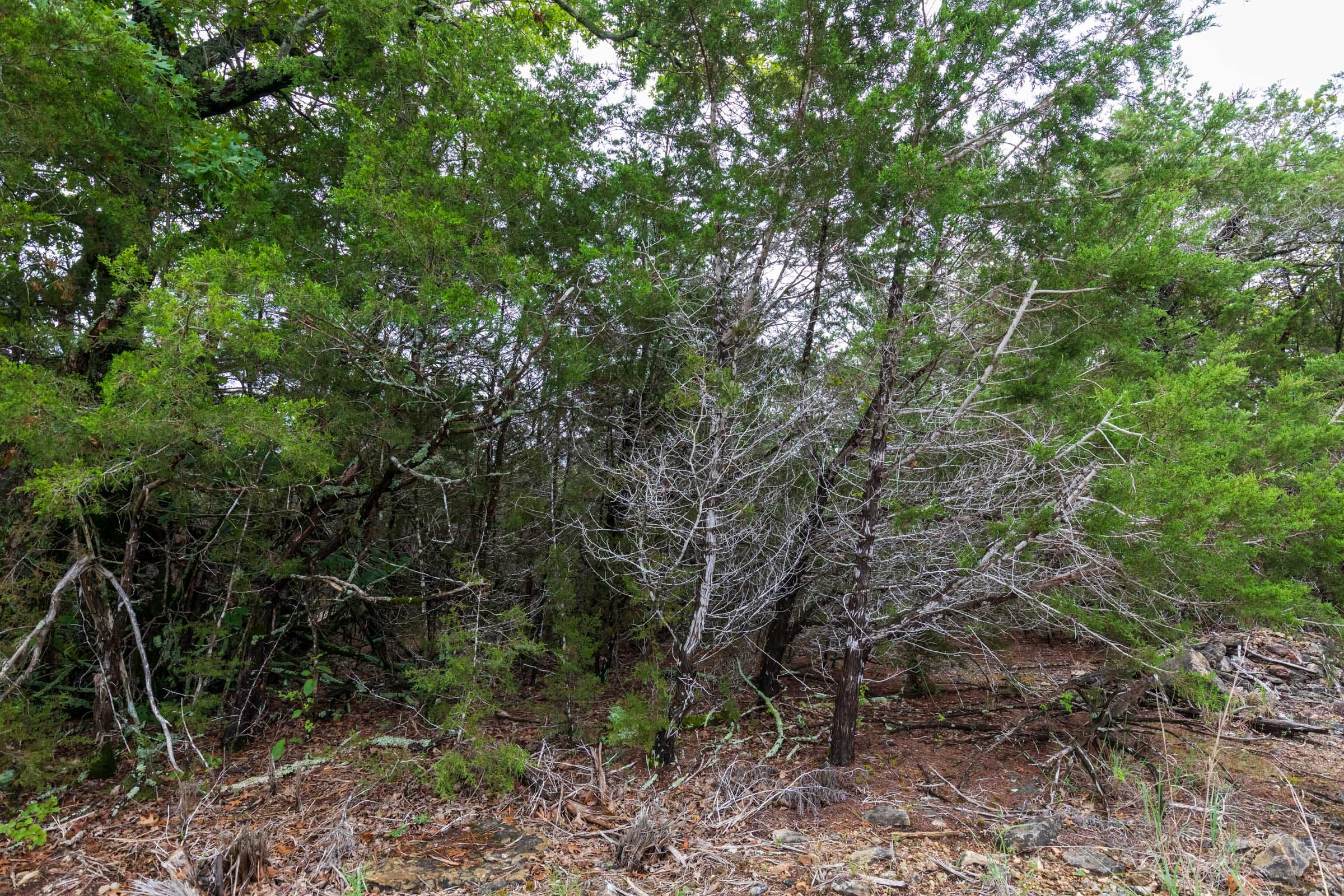 Heritage Bend Tract 4 photo 2