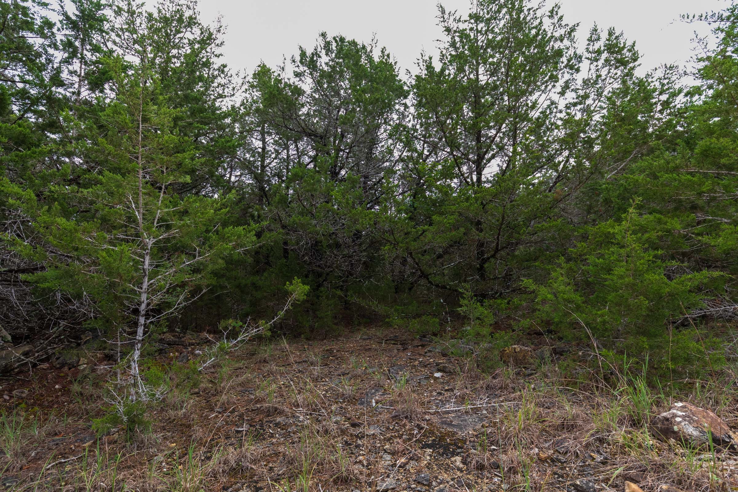 Heritage Bend Tract 4 photo 3