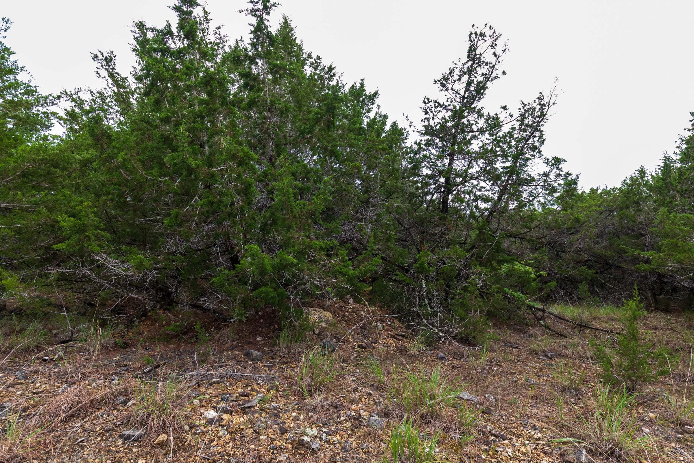 Heritage Bend Tract 4 photo 4
