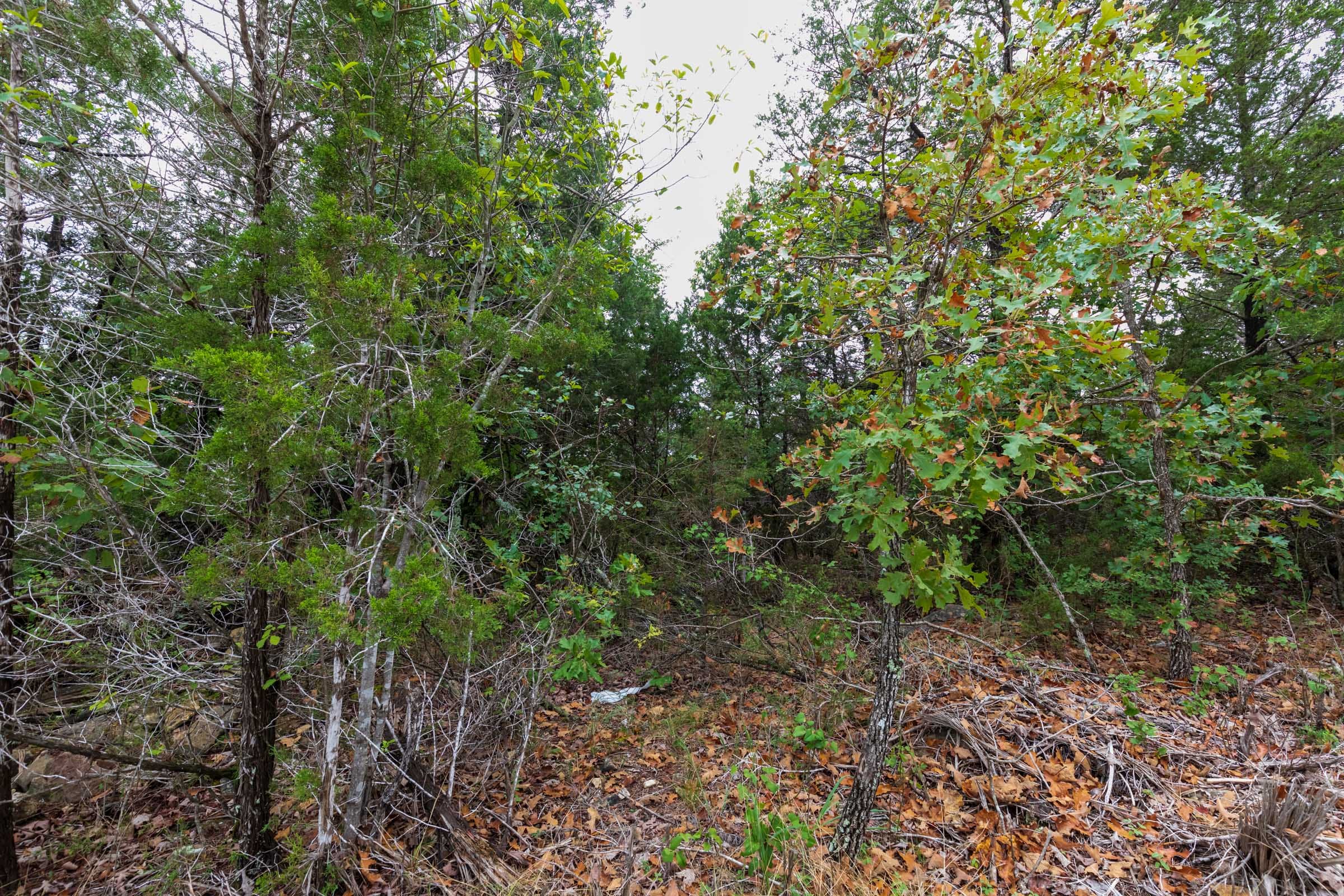 Heritage Bend Tract 4 photo 5