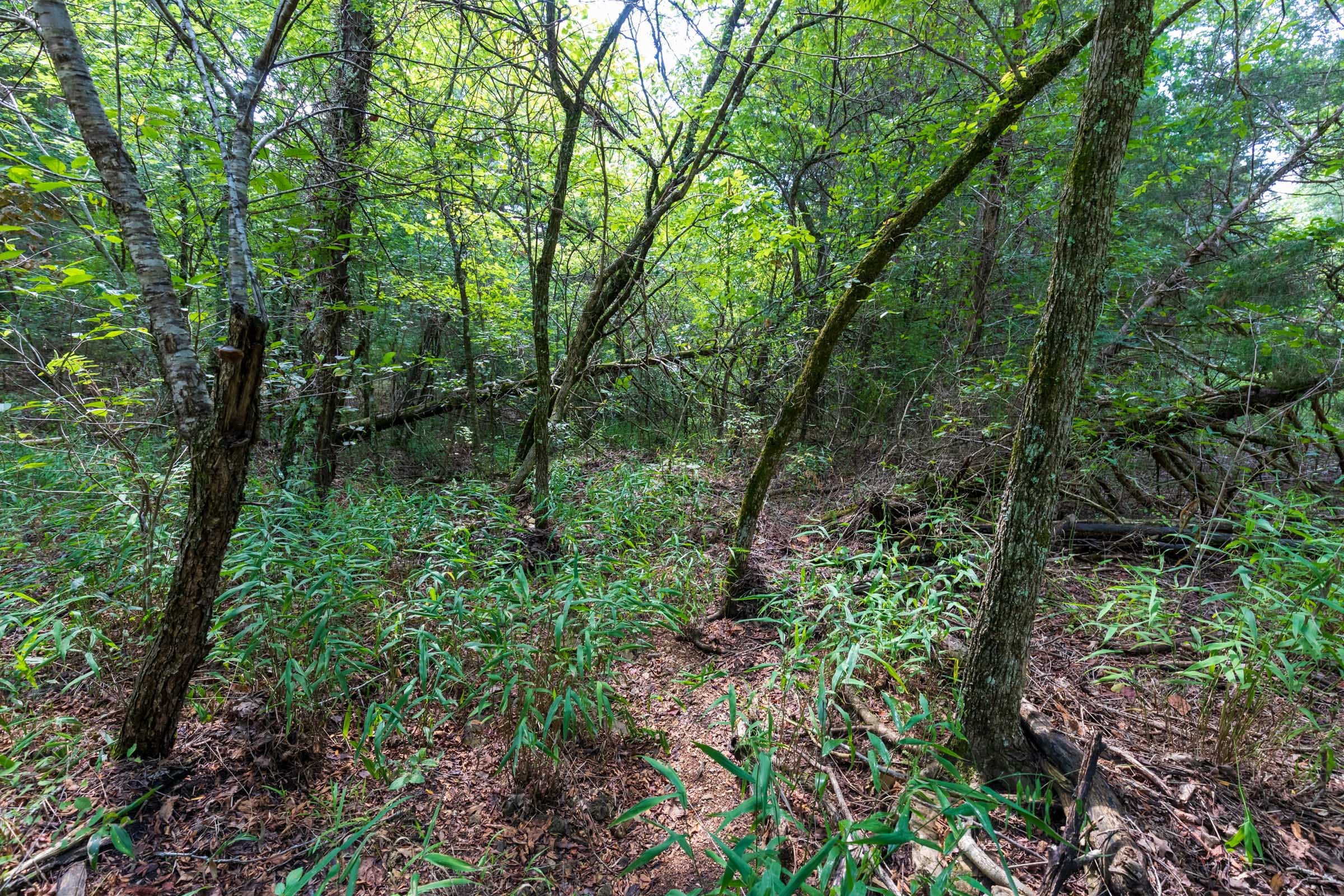 Heritage Bend Tract 4 photo 8