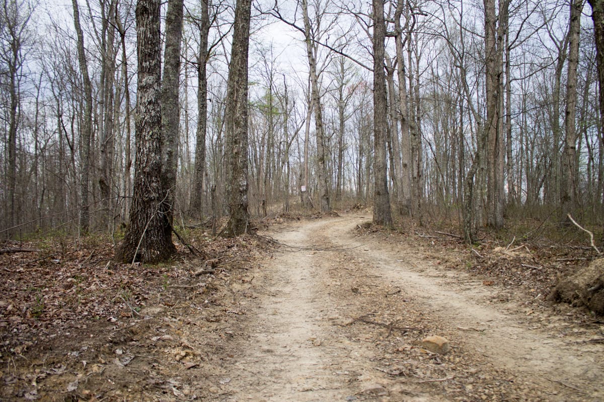 Chestnut Oak Ridge Tract 17 photo 1