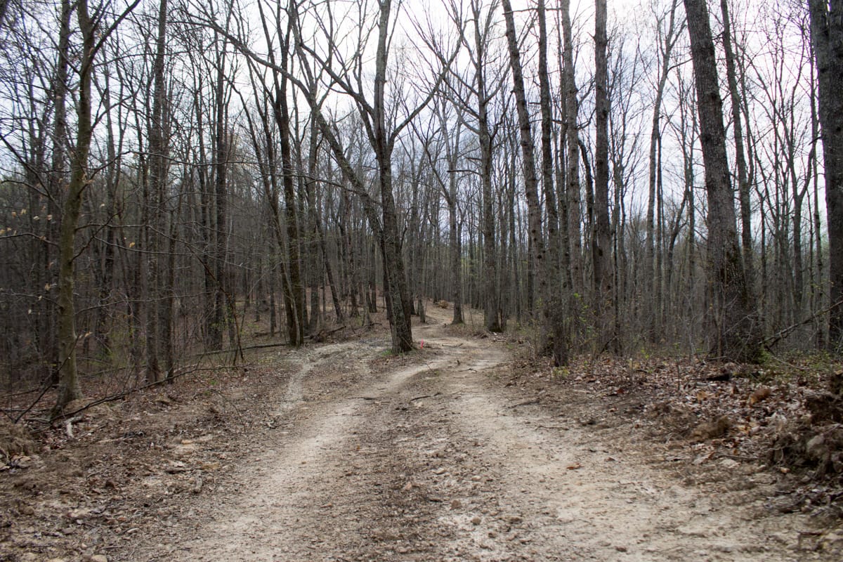 Chestnut Oak Ridge Tract 17 photo 2