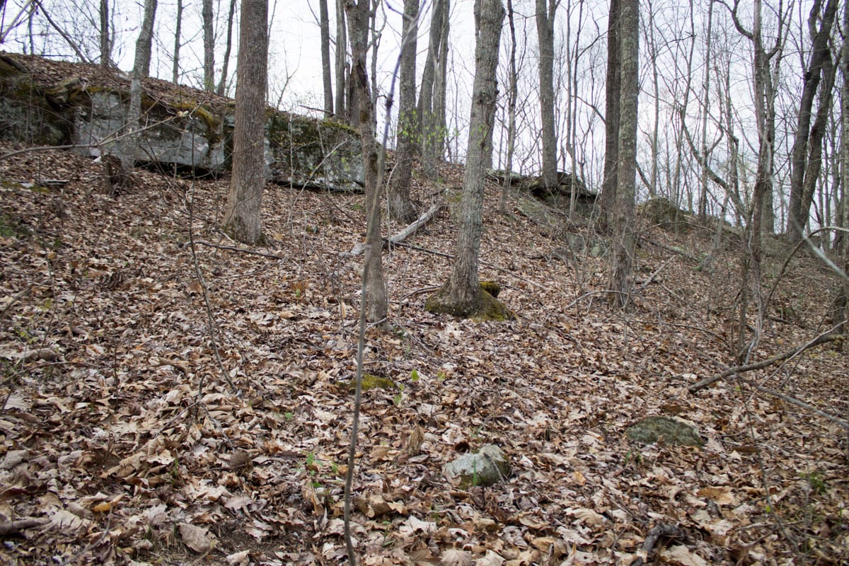 Chestnut Oak Ridge Tract 17 photo 11