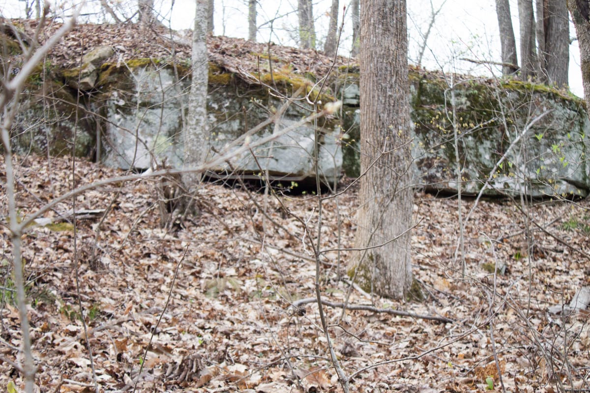 Chestnut Oak Ridge Tract 17 photo 12