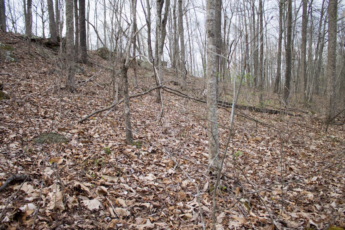 Chestnut Oak Ridge Tract 17 photo 13