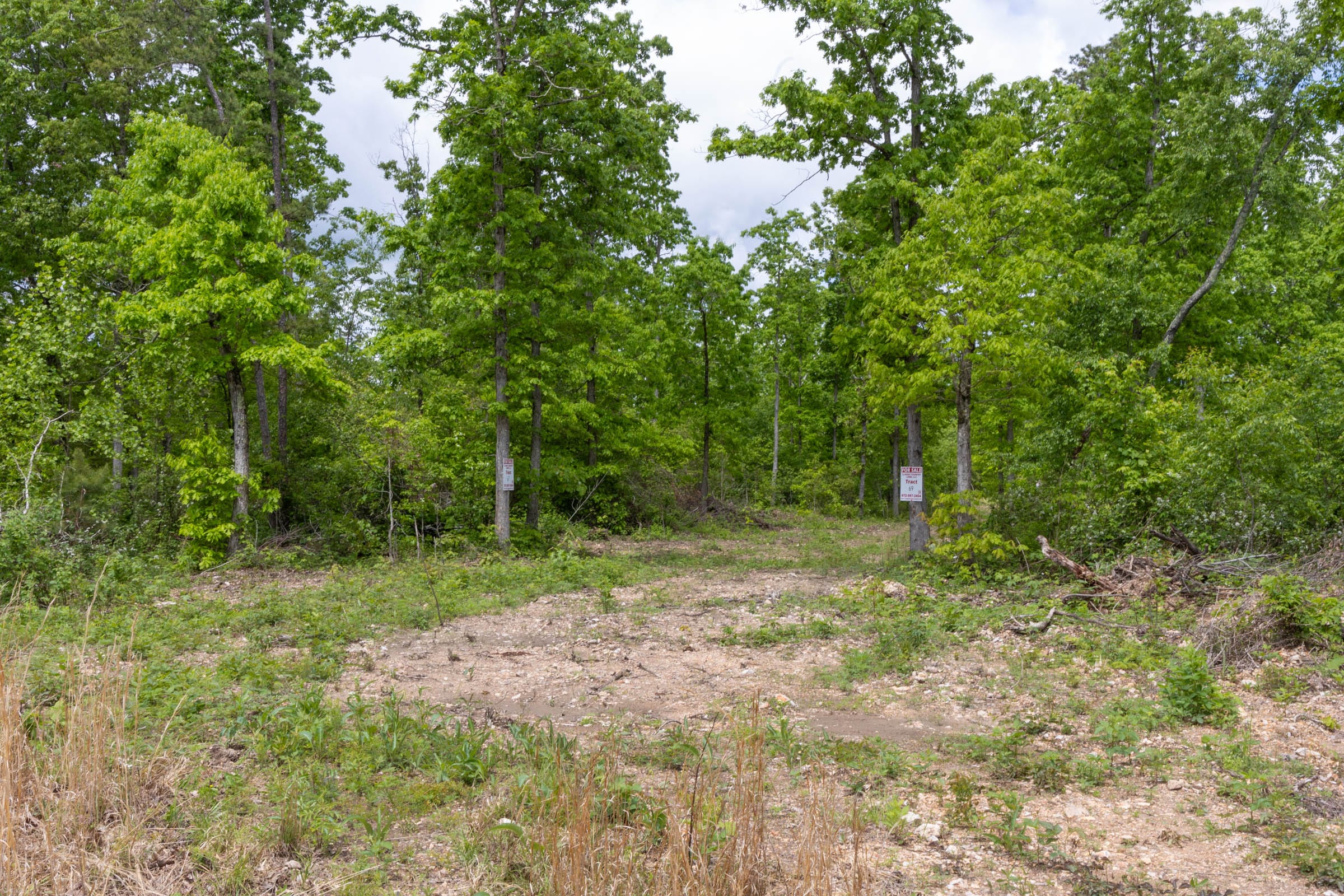 Sleepy Hollow Phase II Tract 67 photo 2