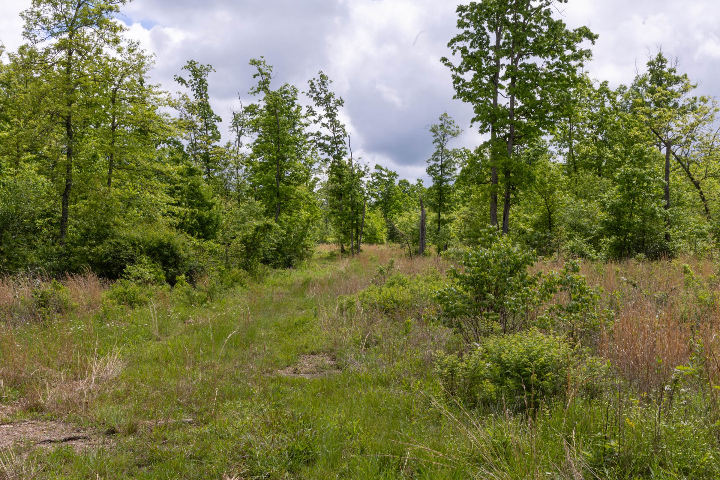 Sleepy Hollow Phase II Tract 67 photo 3